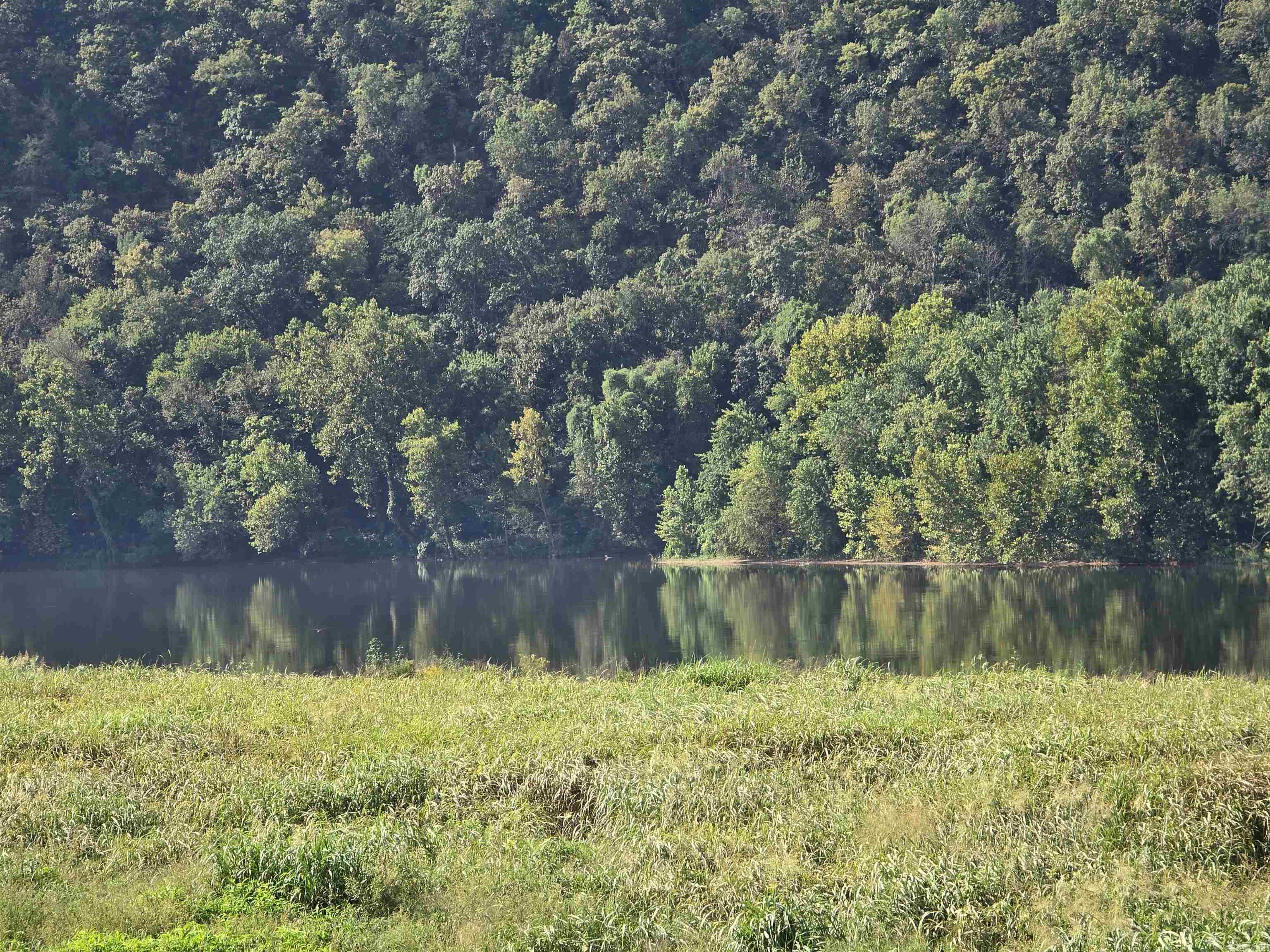 Photo 2 - Vacant Land for sale – TBD  River   Guion, AR