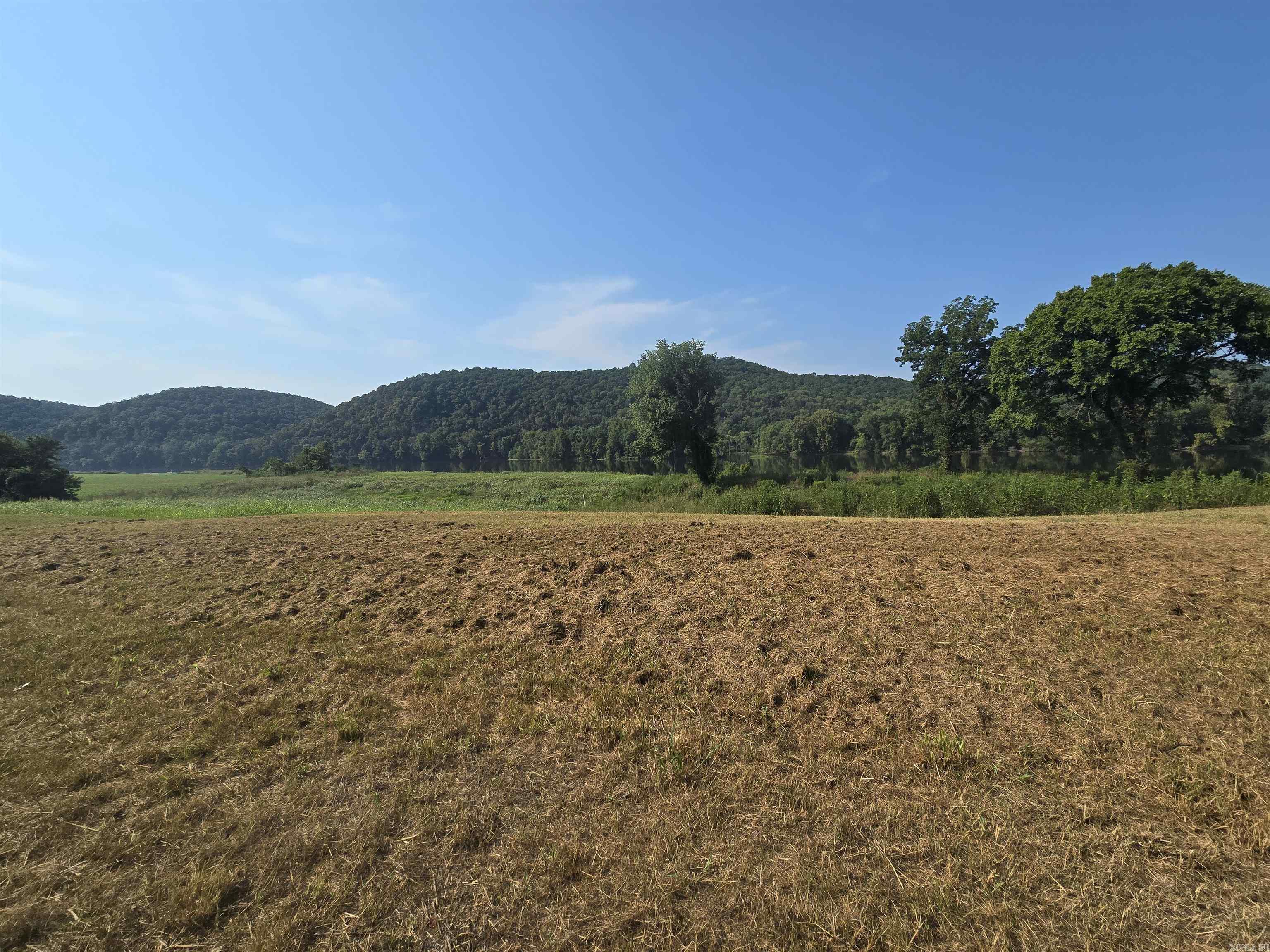 Photo 4 - Vacant Land for sale – TBD  River   Guion, AR
