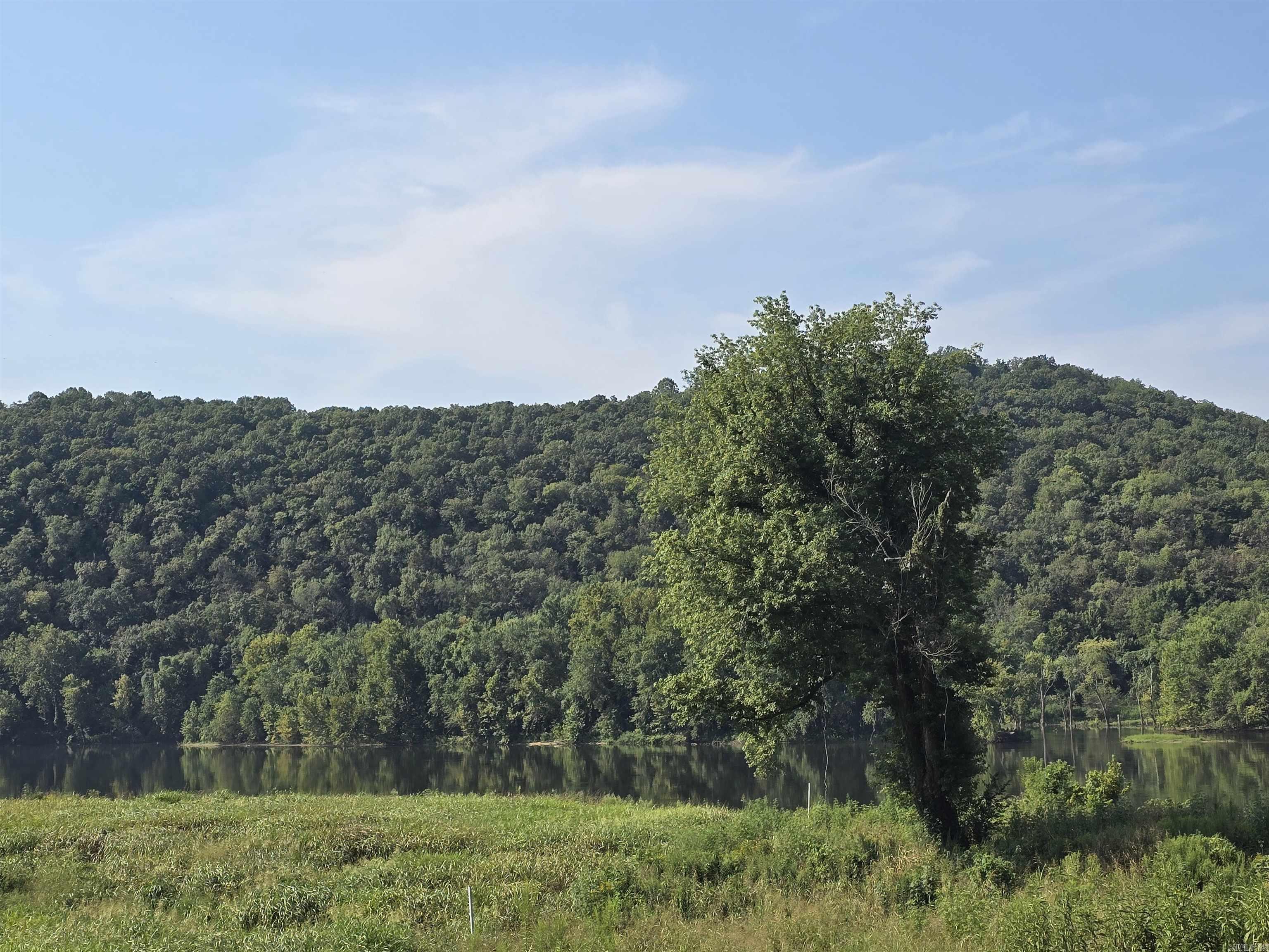 Photo 6 - Vacant Land for sale – TBD  River   Guion, AR