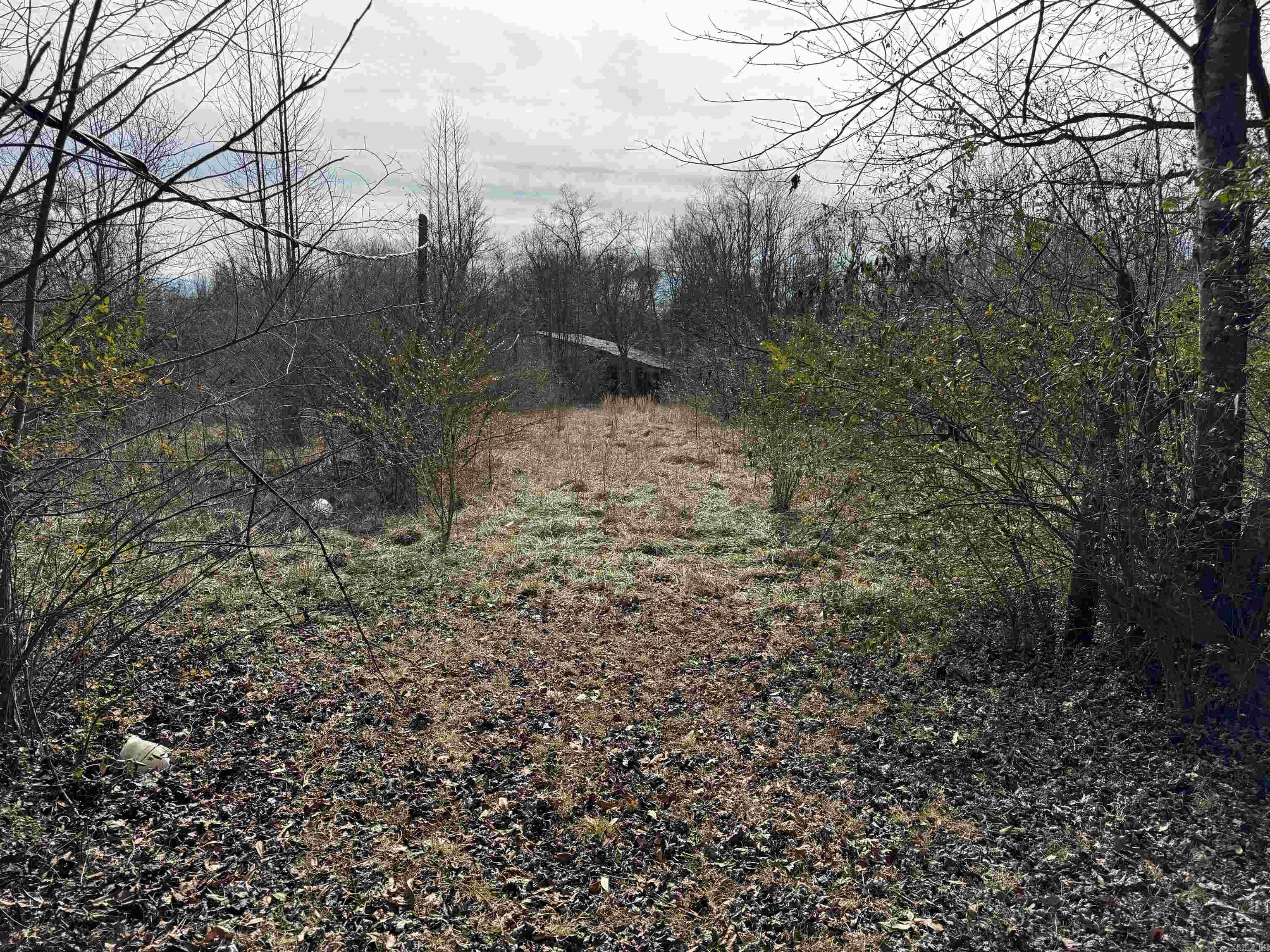 Photo 6 - Vacant Land for sale – 4  Spring Valley   Batesville, AR