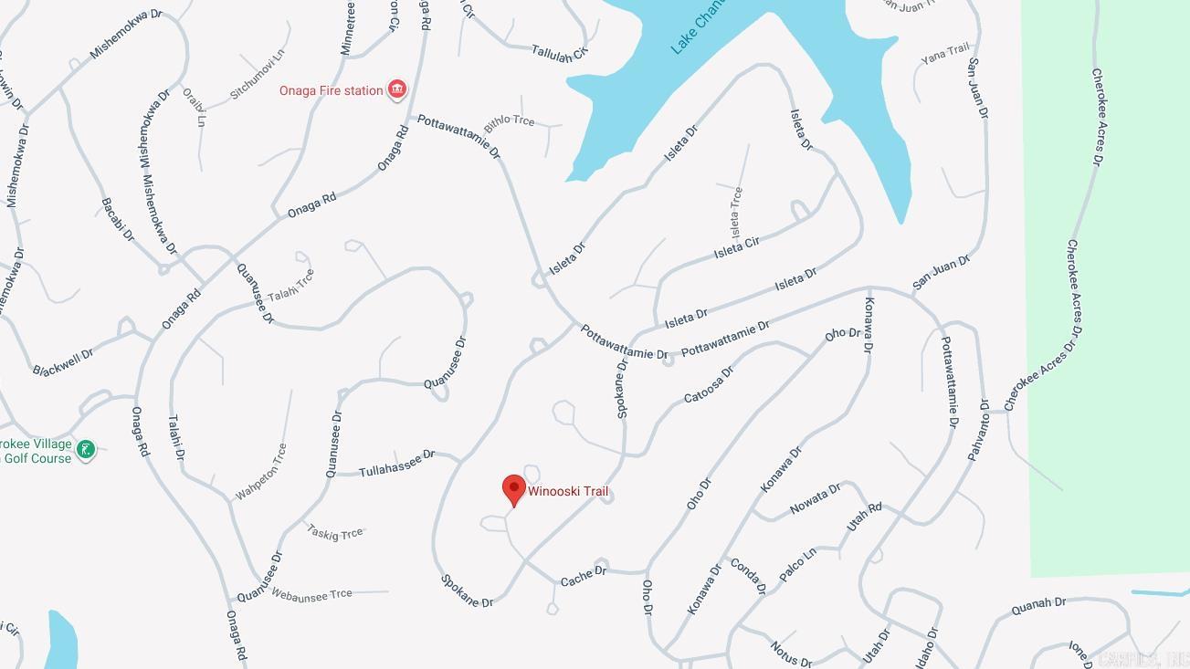 Photo 3 - Vacant Land for sale – Lot 11  Winooski   Cherokee Village, AR