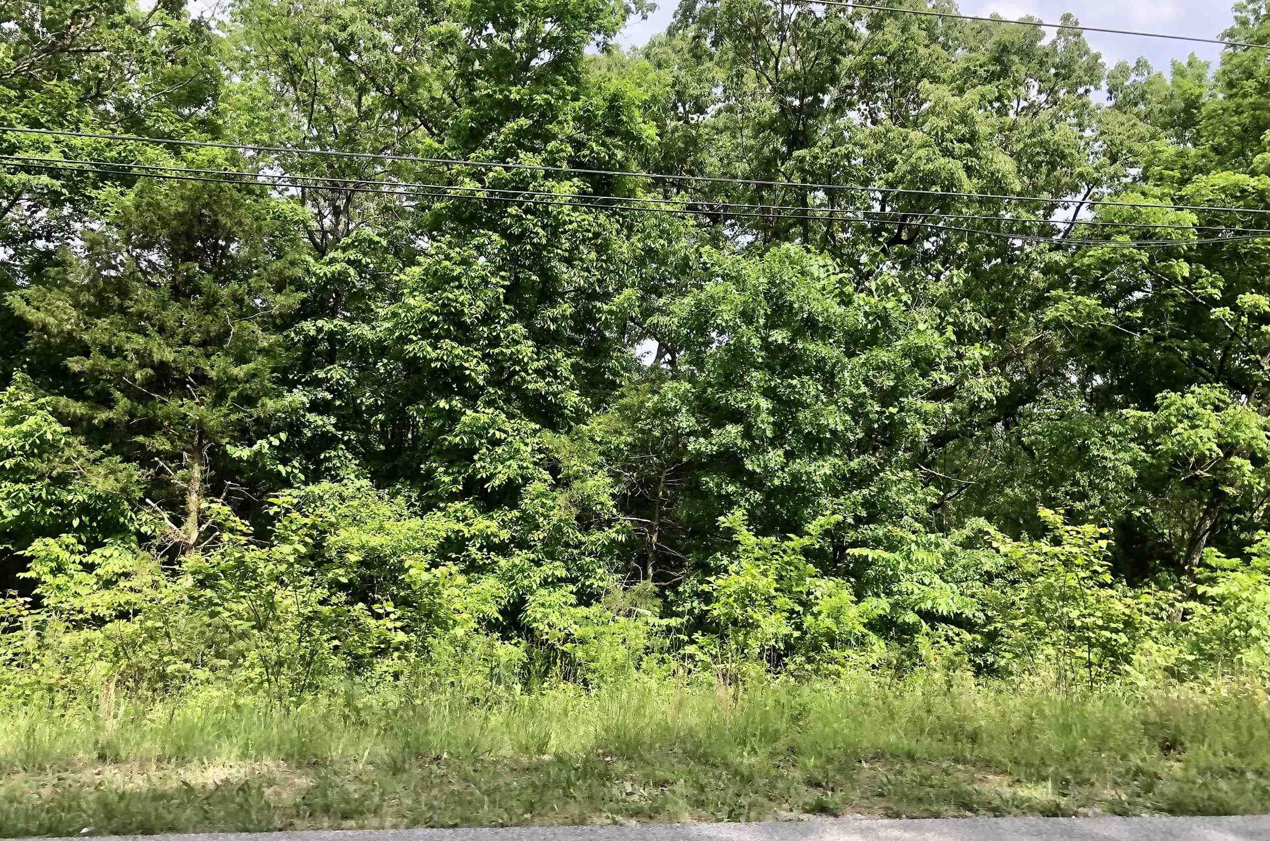Vacant Land for sale –  W Lake Estates   Cherokee Village, AR