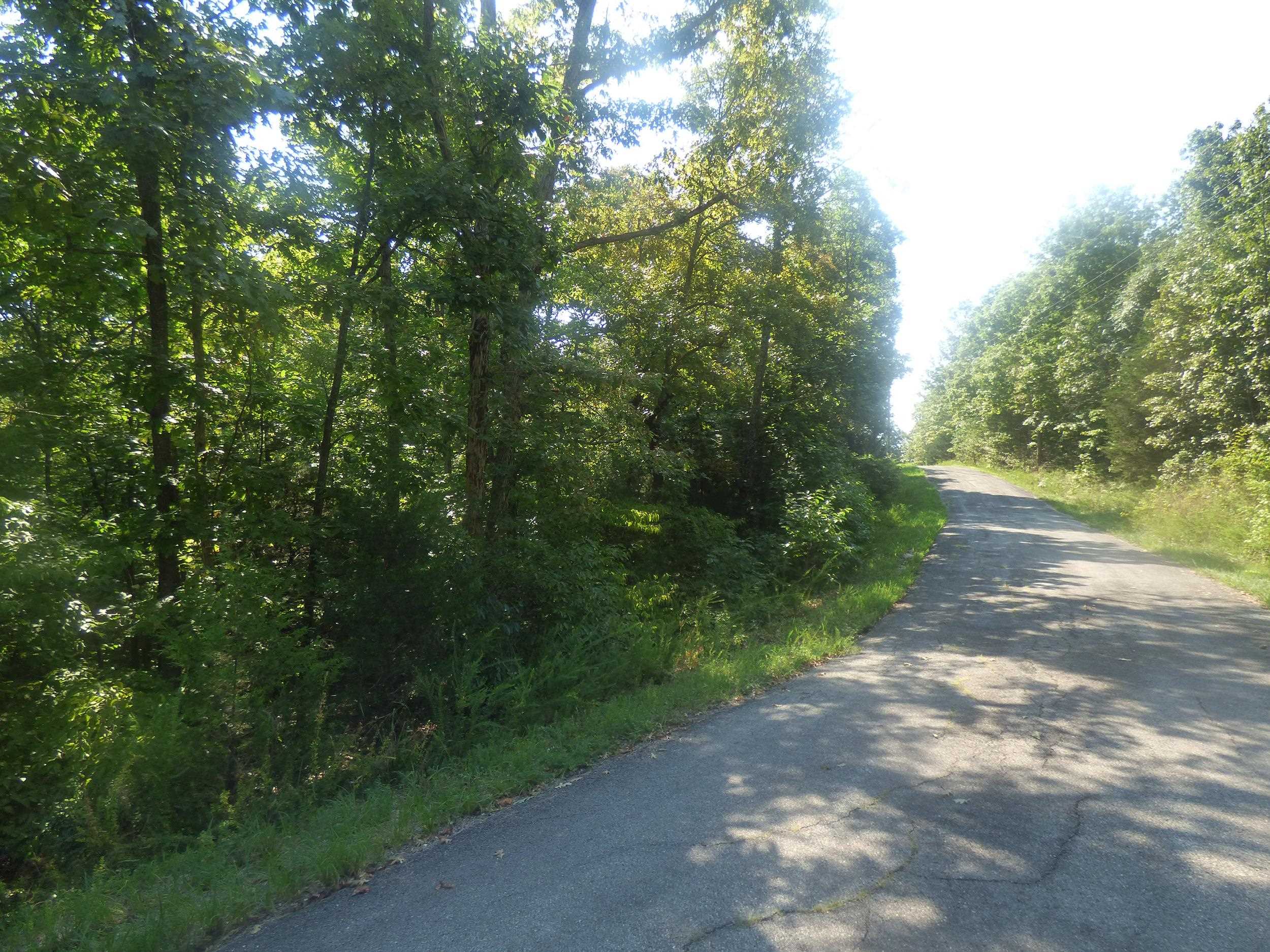Photo 2 - Vacant Land for sale –   Okfuskee   Cherokee Village, AR