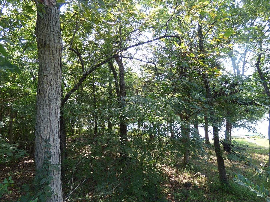 Vacant Land for sale – 00 E Lakeshore   Cherokee Village, AR