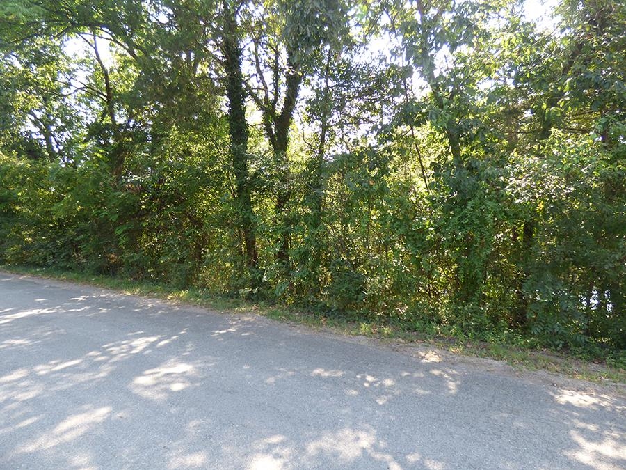 Photo 2 - Vacant Land for sale – 00 E Lakeshore   Cherokee Village, AR