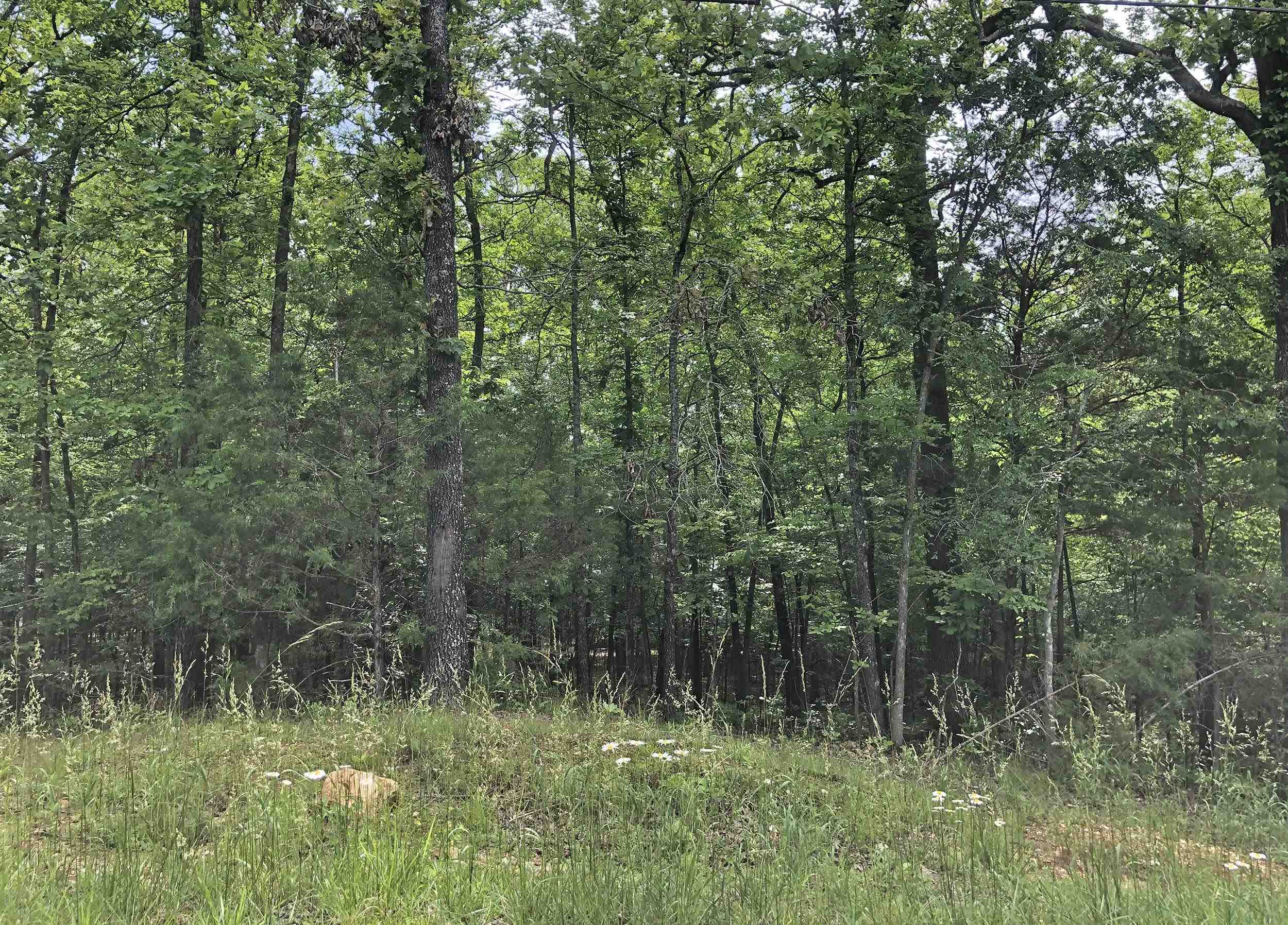Vacant Land for sale –   Okmulgee   Cherokee Village, AR