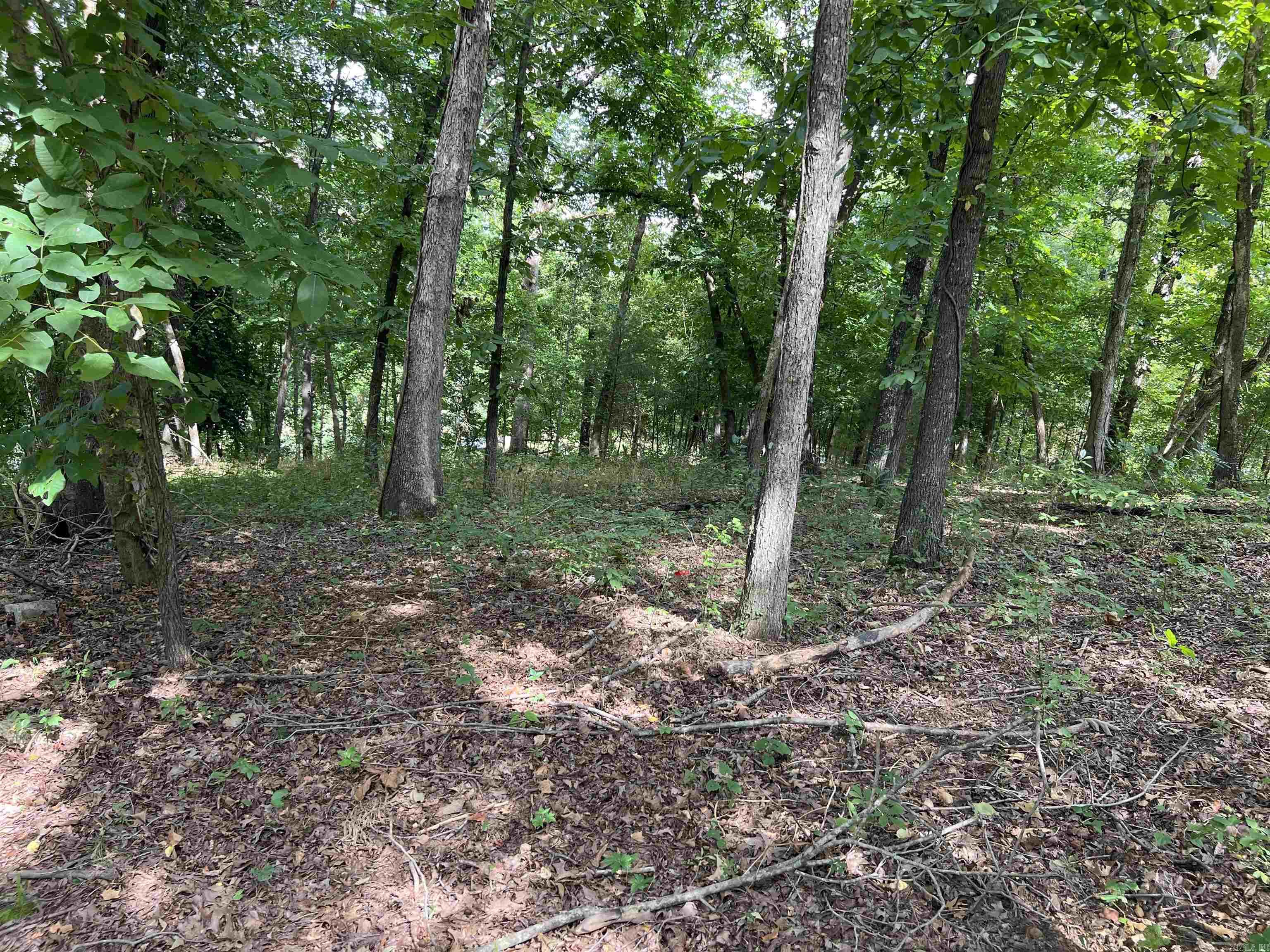 Photo 4 - Vacant Land for sale – 000  Riverbend Road   Mammoth Spring, AR