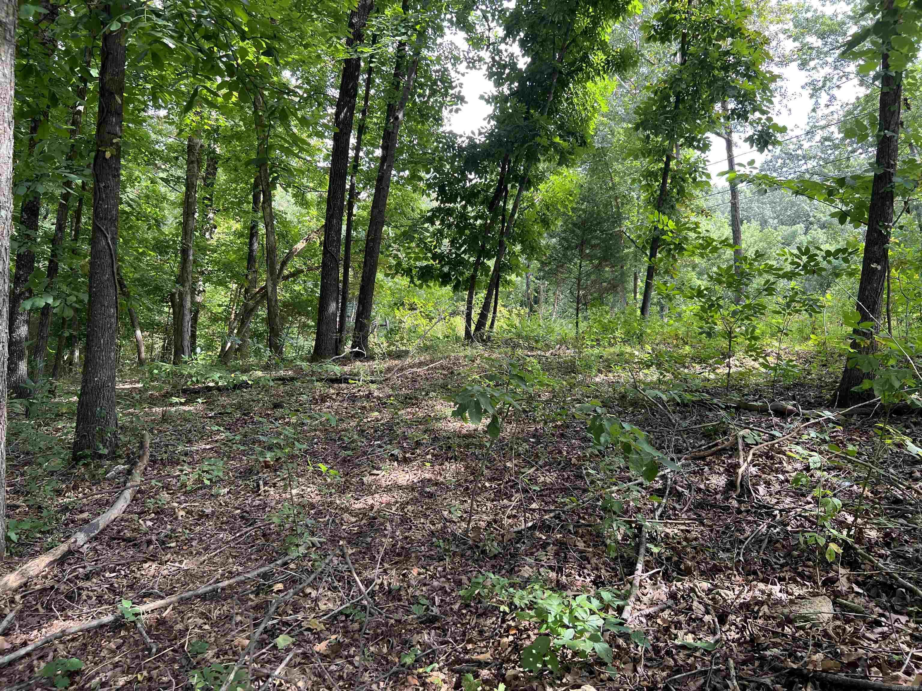Photo 5 - Vacant Land for sale – 000  Riverbend Road   Mammoth Spring, AR