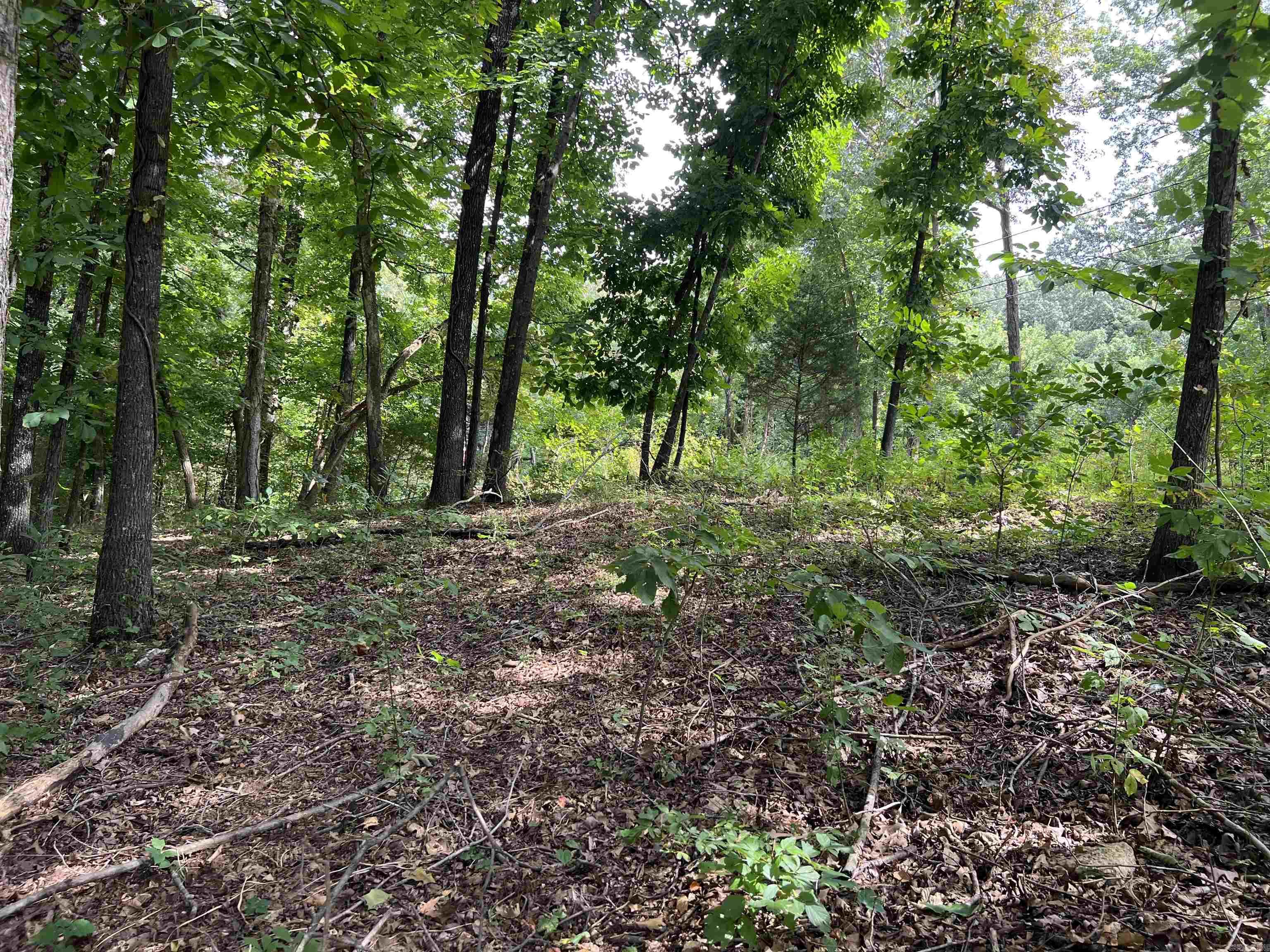 Photo 6 - Vacant Land for sale – 000  Riverbend Road   Mammoth Spring, AR