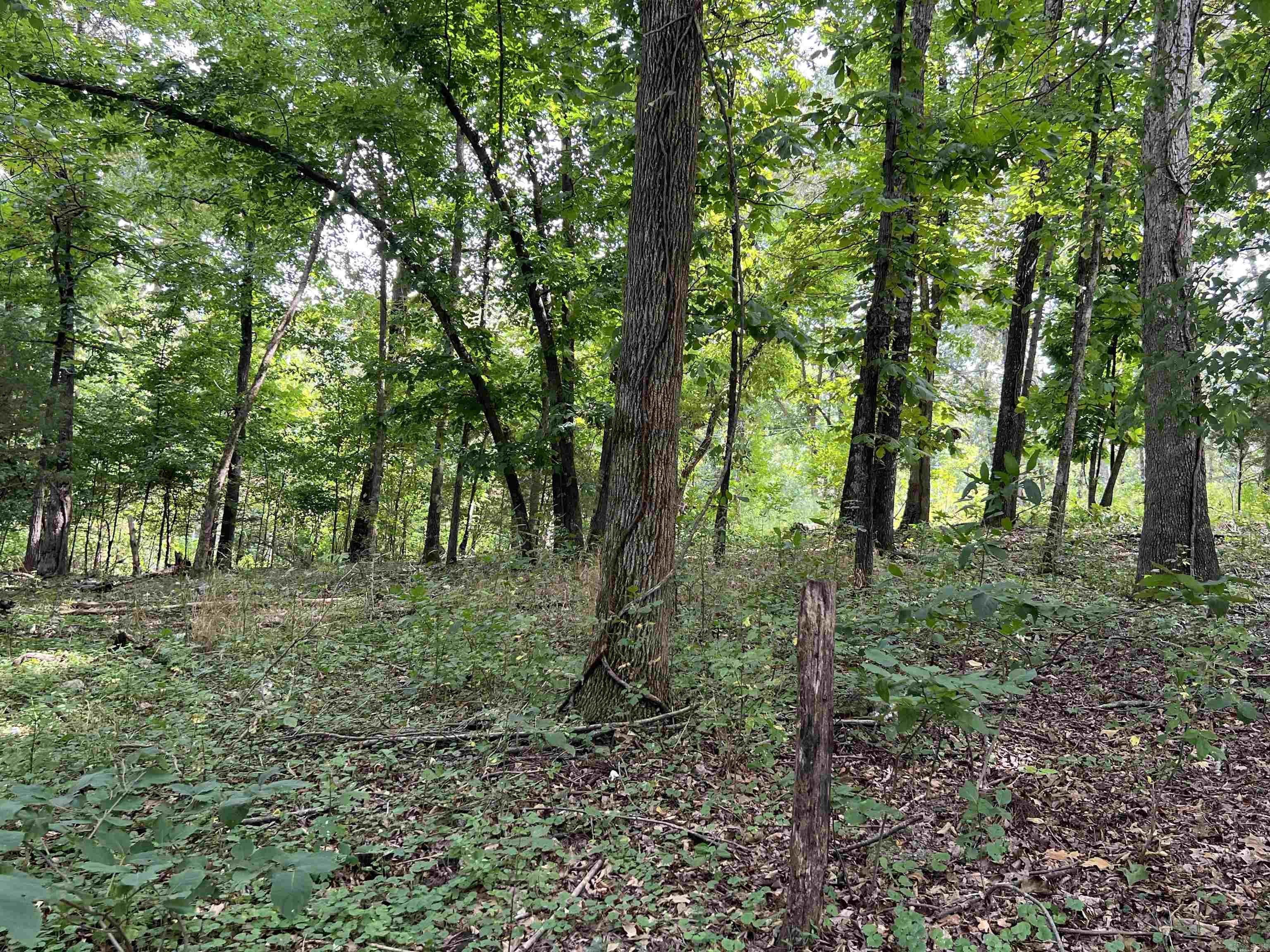 Photo 8 - Vacant Land for sale – 000  Riverbend Road   Mammoth Spring, AR
