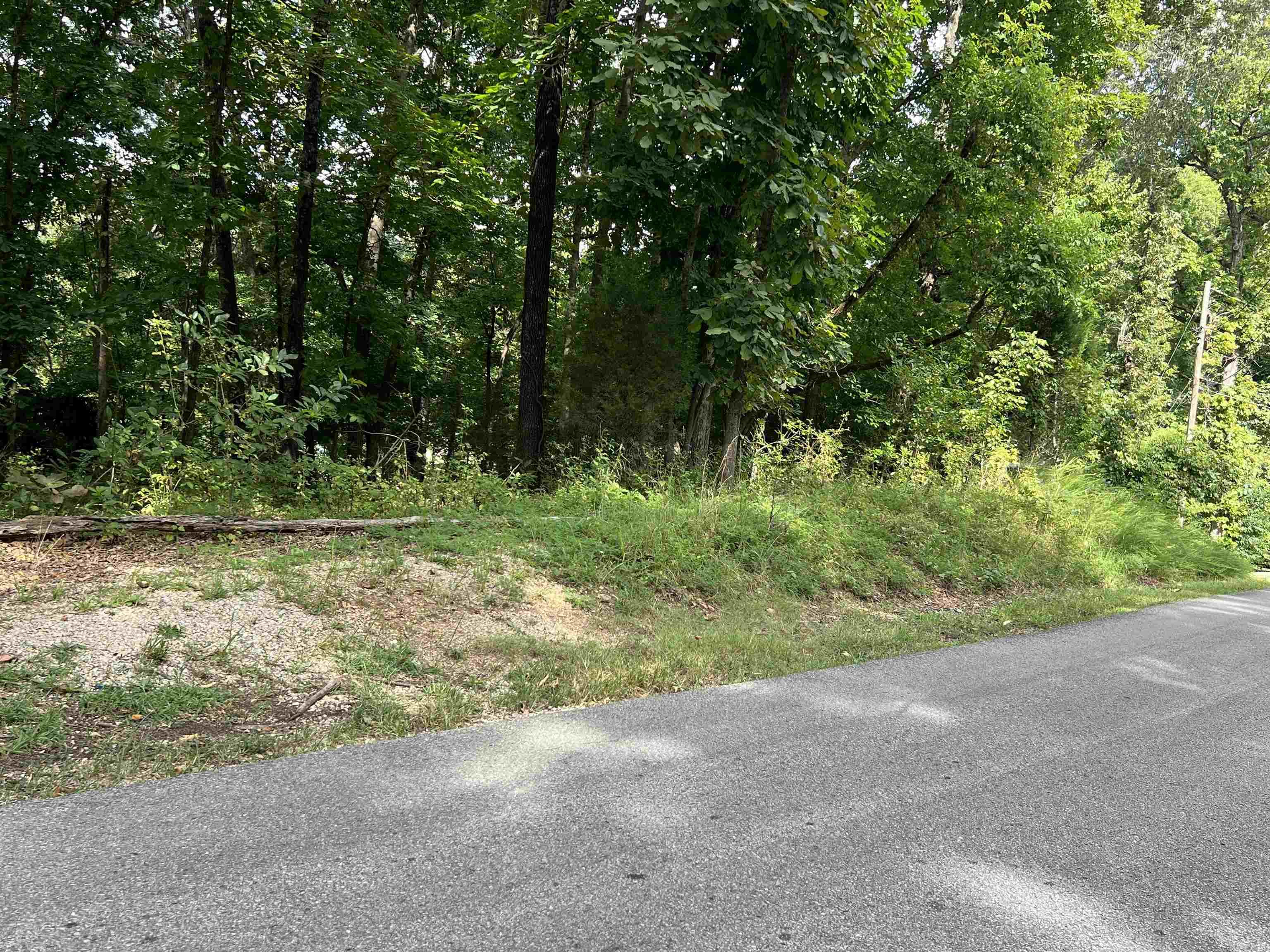 Photo 9 - Vacant Land for sale – 000  Riverbend Road   Mammoth Spring, AR