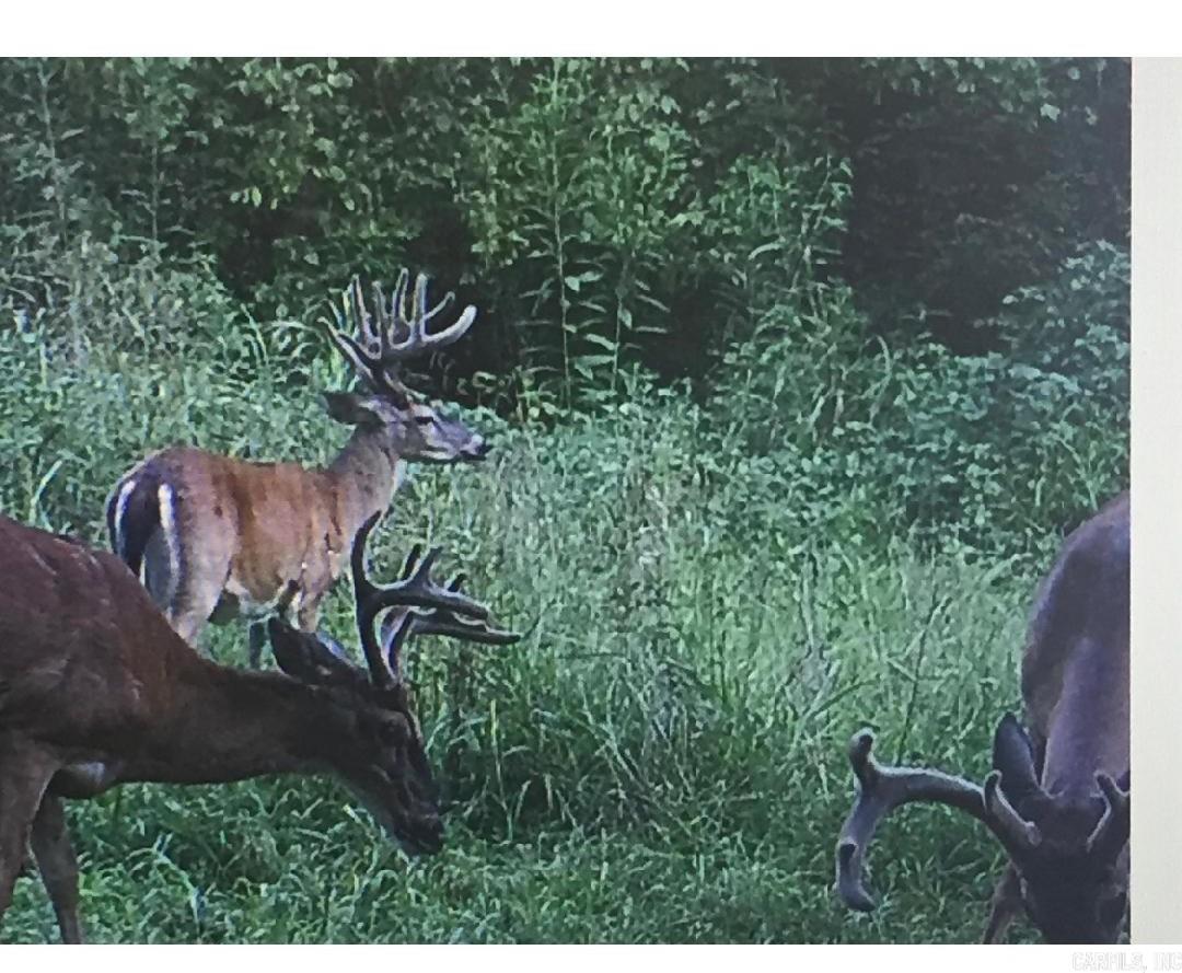 Photo 9 - Commercial / Industrial for sale – 1315  Batesville   Batesville, AR