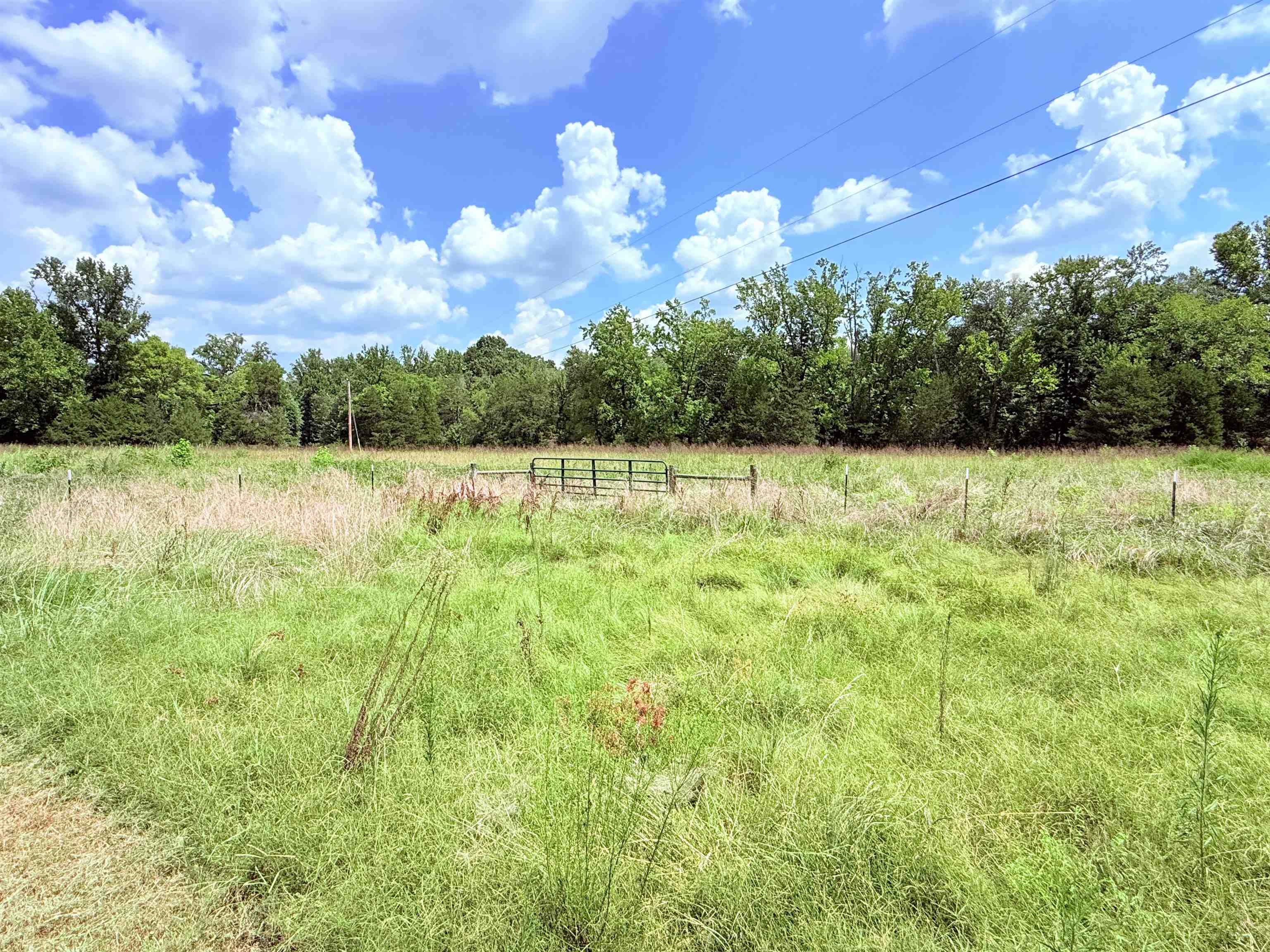 Photo 29 - Residential for sale – 5023  Knob Creek Road   Melbourne, AR