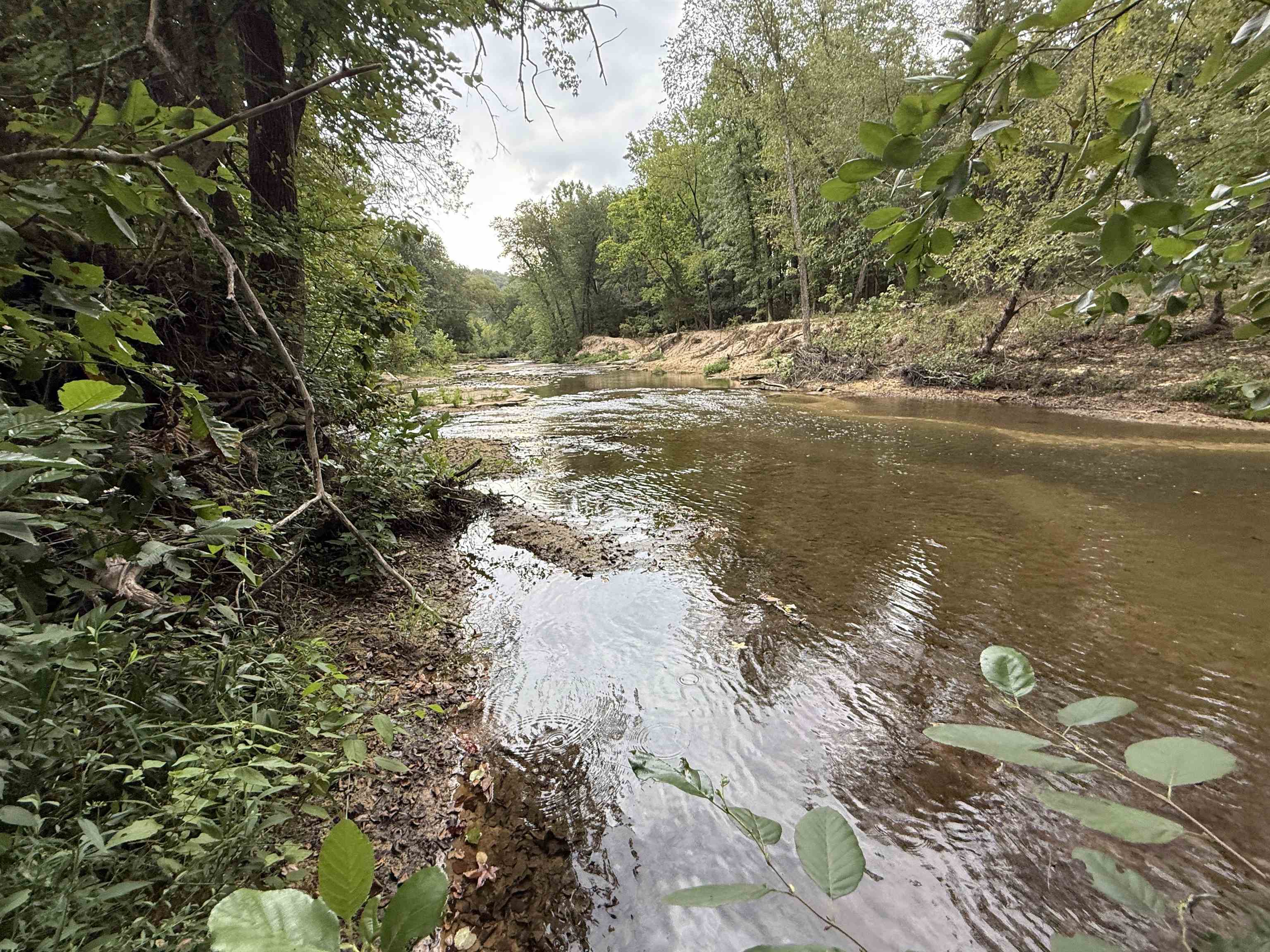 Photo 39 - Residential for sale – 5023  Knob Creek Road   Melbourne, AR