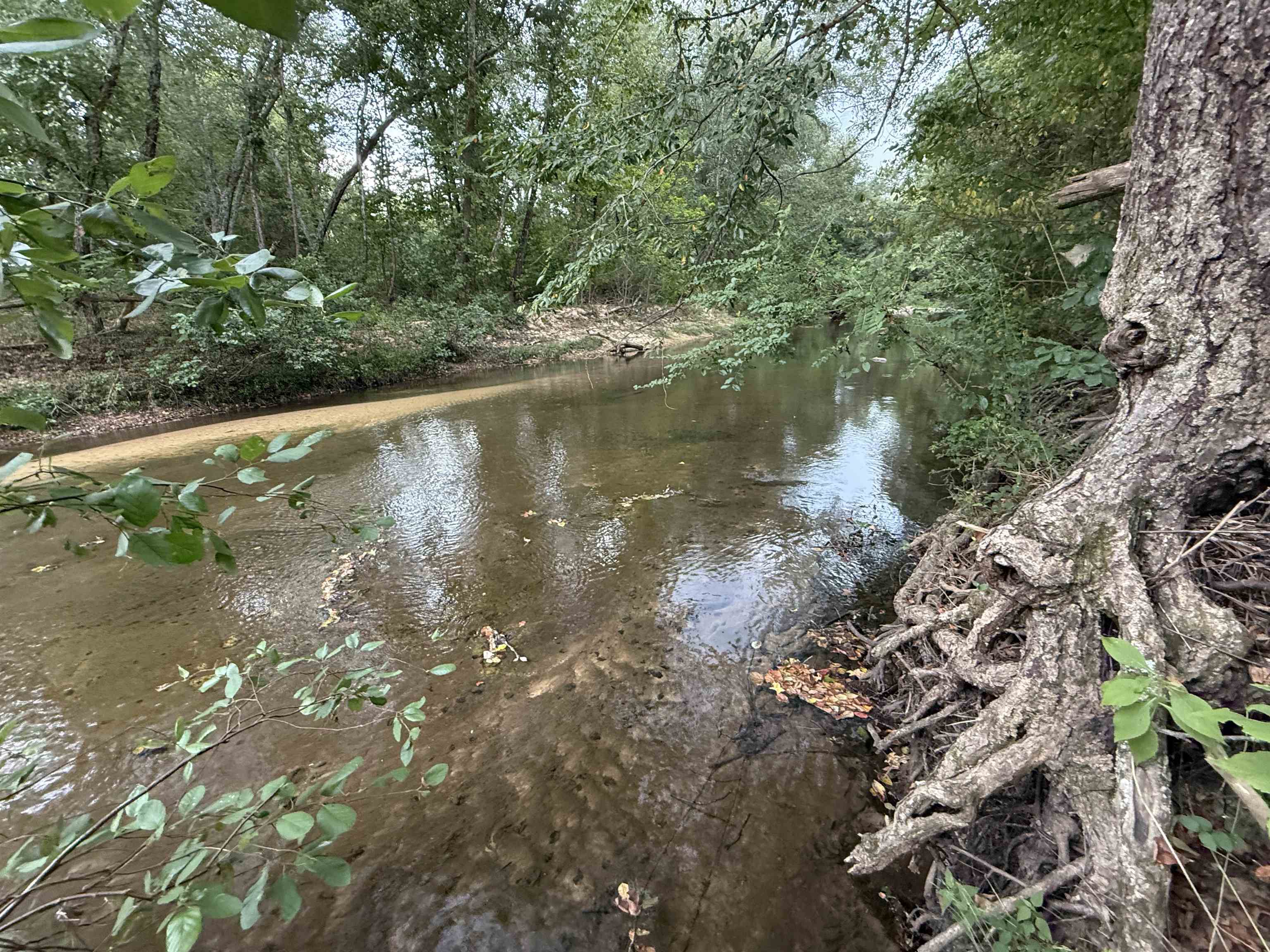 Photo 41 - Residential for sale – 5023  Knob Creek Road   Melbourne, AR