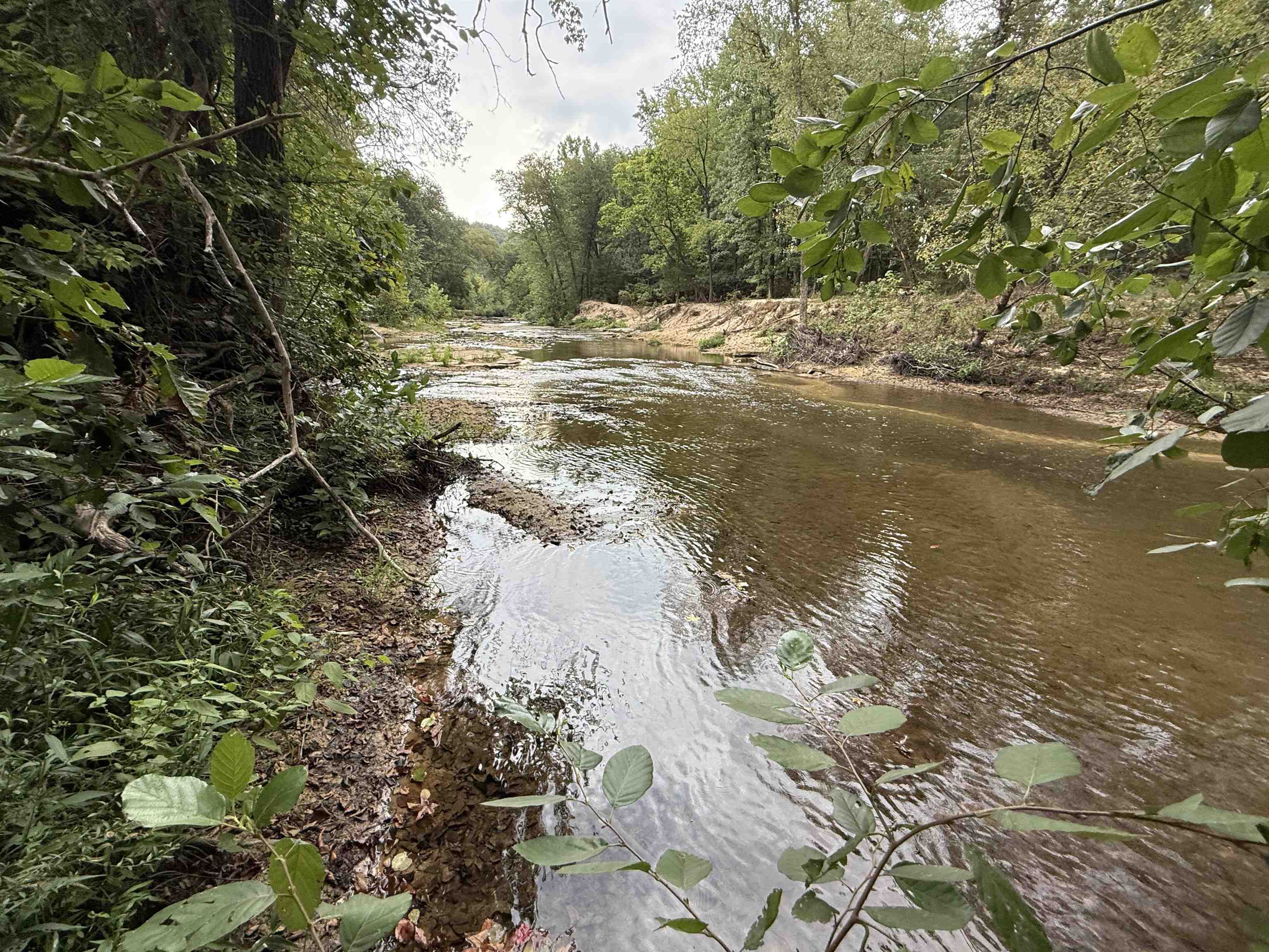 Photo 43 - Residential for sale – 5023  Knob Creek Road   Melbourne, AR