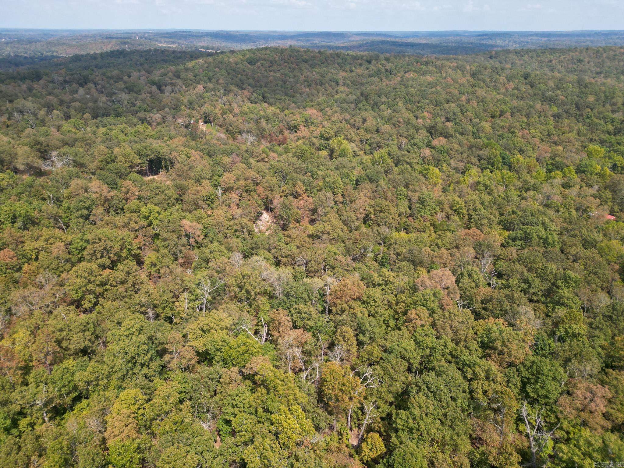 Photo 3 - Vacant Land for sale – 32-34  Red Oak Trail   Hardy, AR