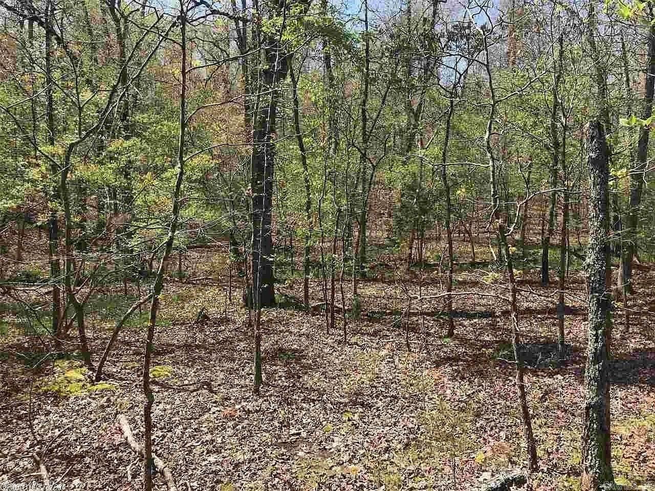 Photo 6 - Vacant Land for sale – 32-34  Red Oak Trail   Hardy, AR