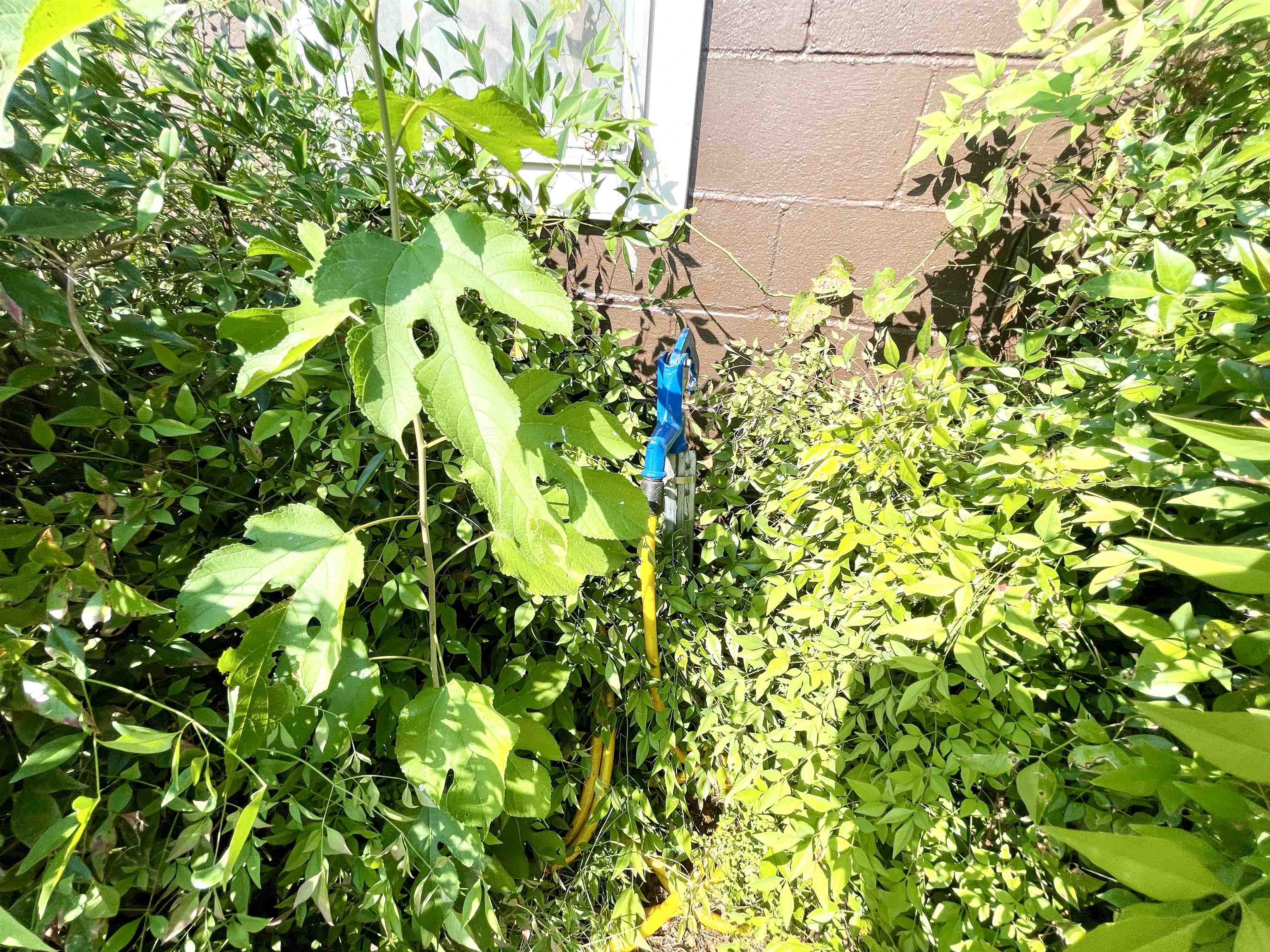 Photo 26 - Residential for sale – 2511  Heart   Glencoe, AR