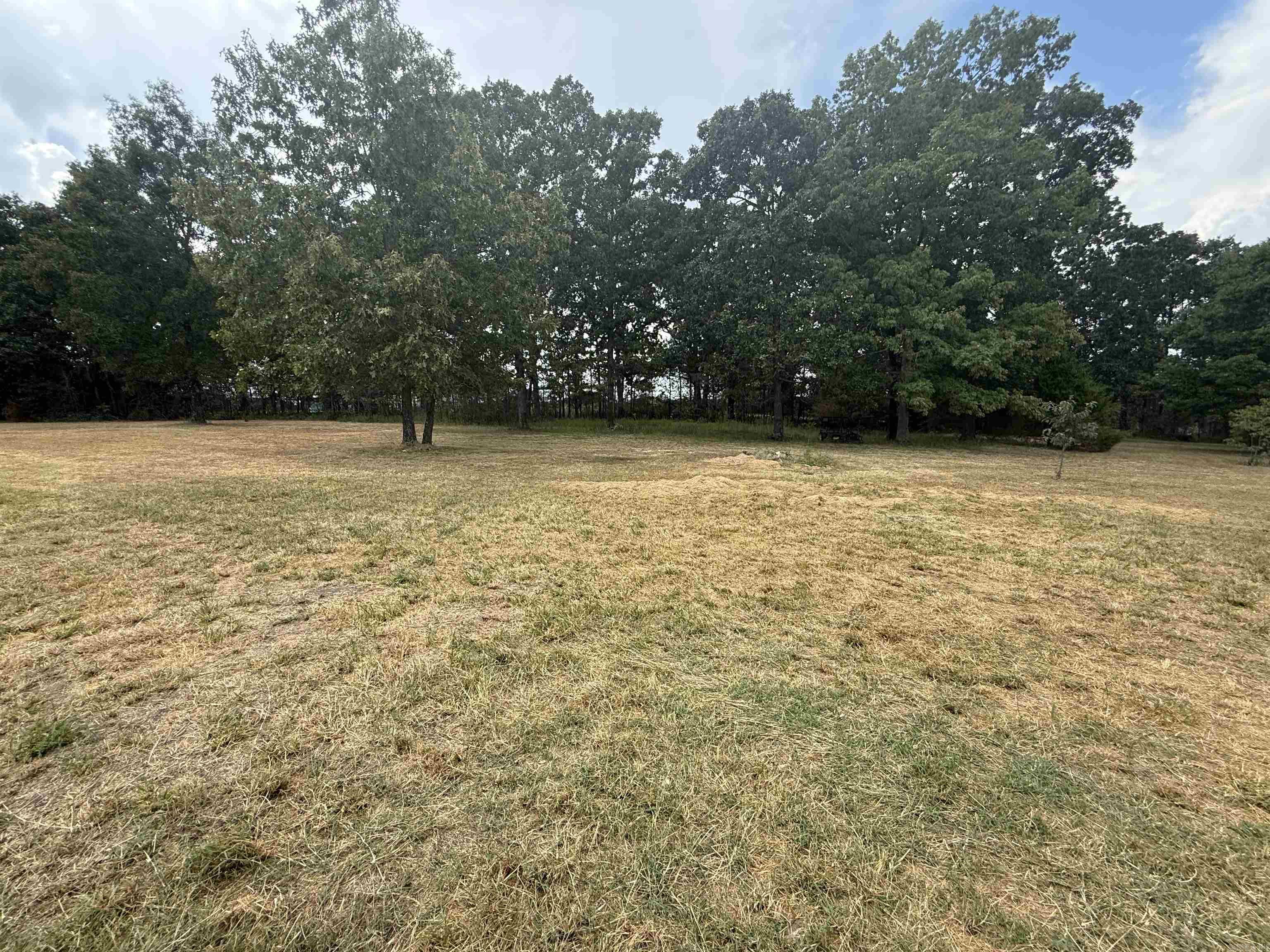 Photo 27 - Residential for sale – 81  Union Hill Road   Mammoth Spring, AR