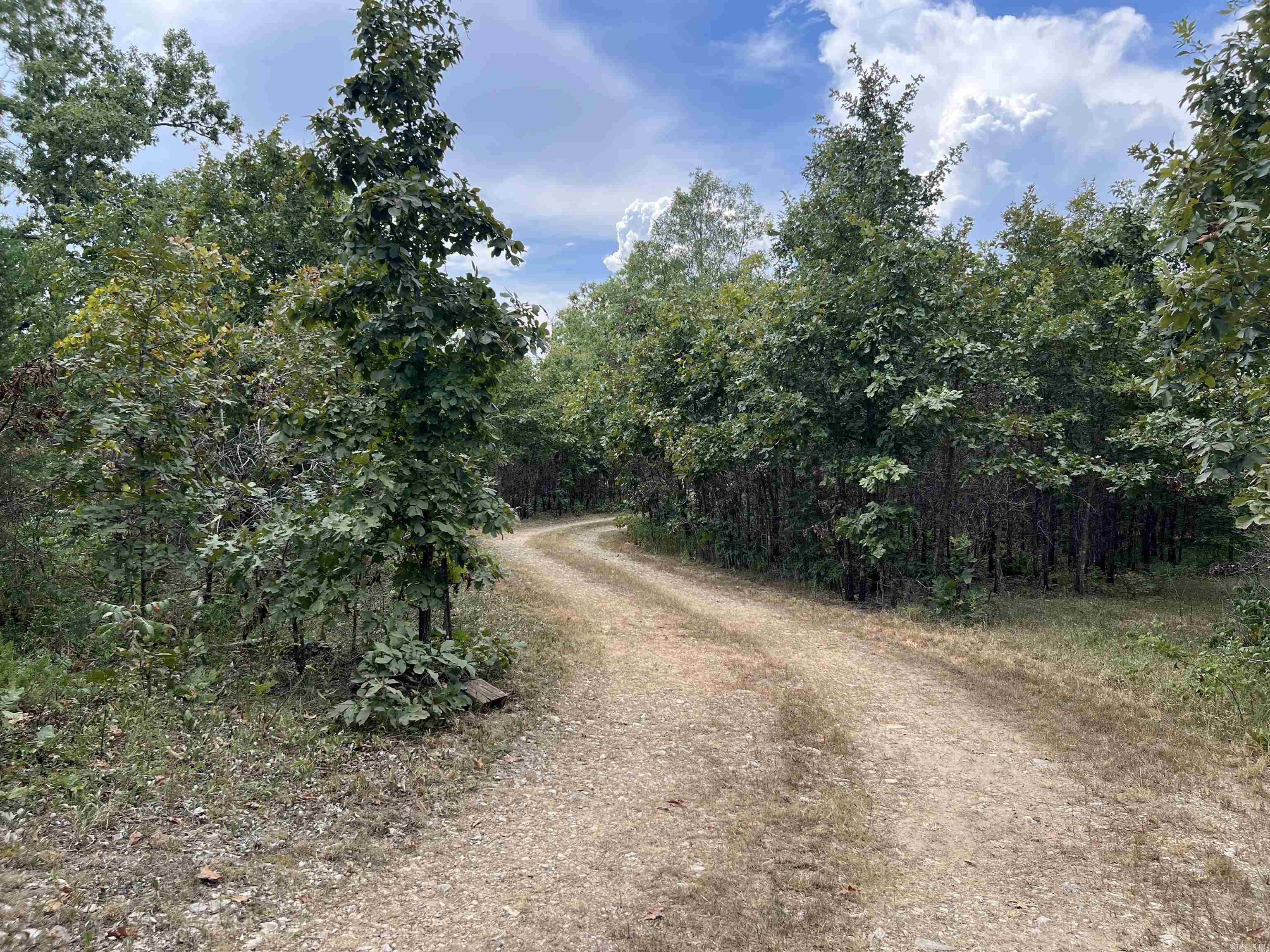 Photo 41 - Residential for sale – 81  Union Hill Road   Mammoth Spring, AR