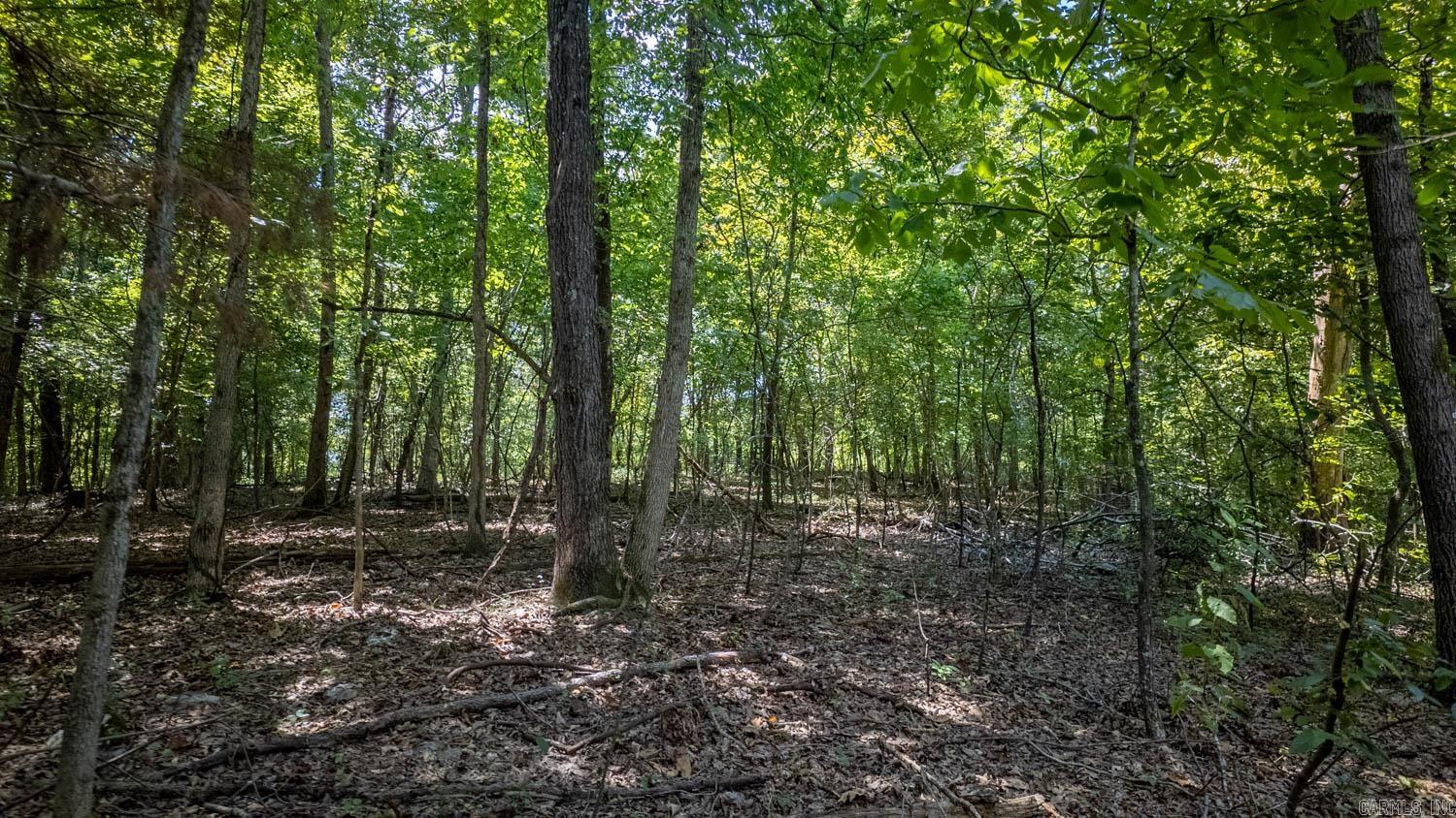 Photo 5 - Vacant Land for sale – Lot 11  Riverbend Road   Mammoth Spring, AR