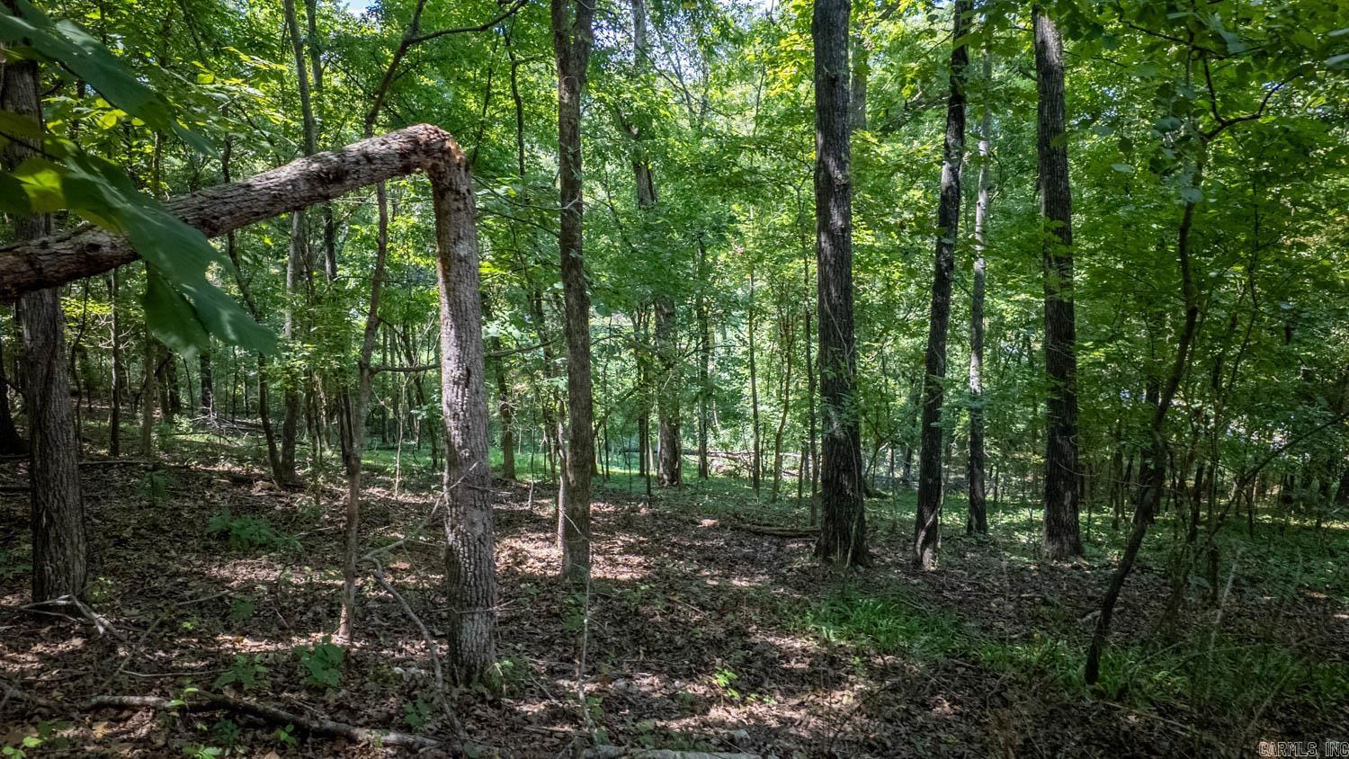Photo 8 - Vacant Land for sale – Lots 12-14  Riverbend Road   Mammoth Spring, AR