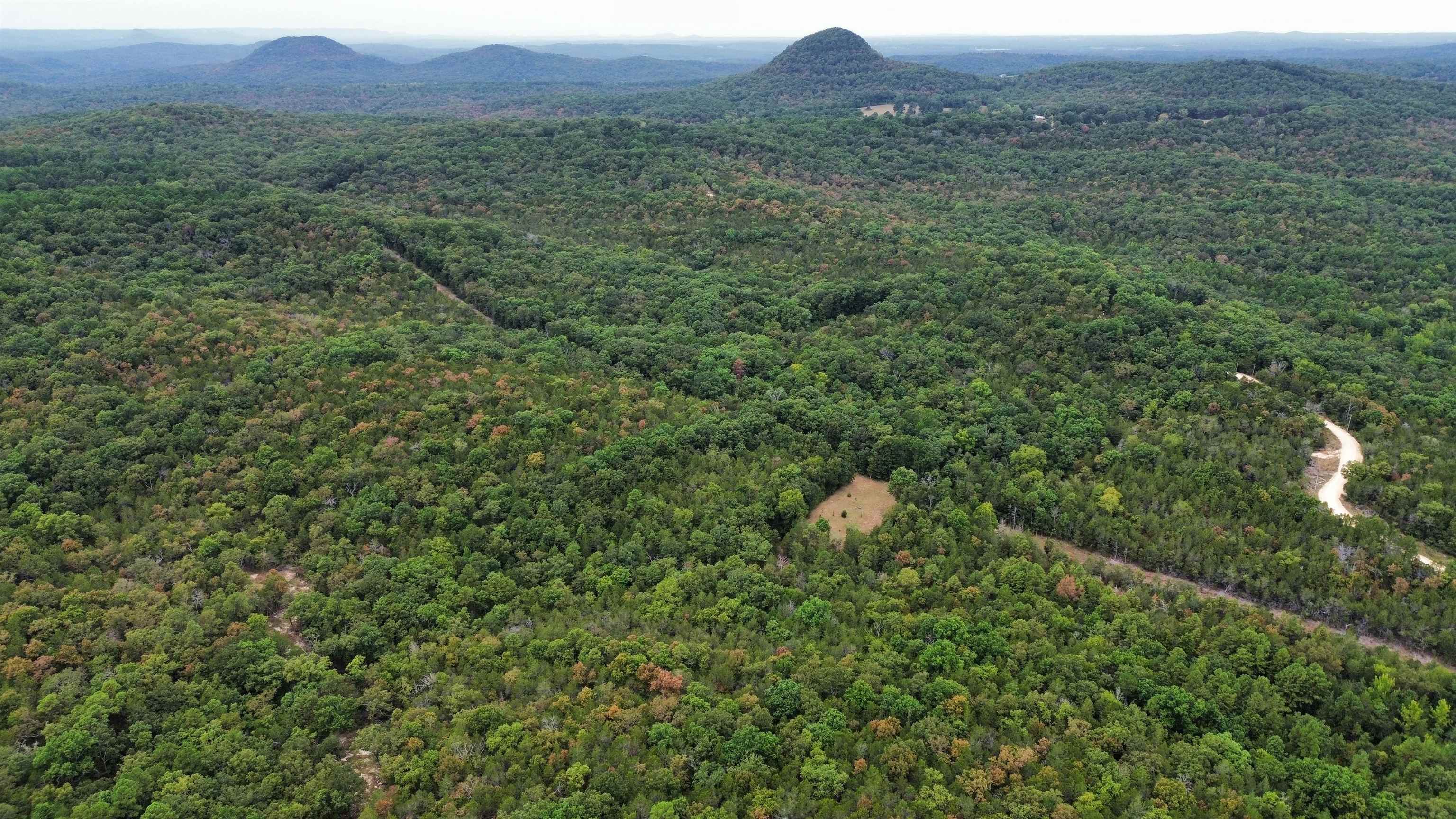 Photo 2 - Residential for sale – 4217  Mill Creek   Melbourne, AR