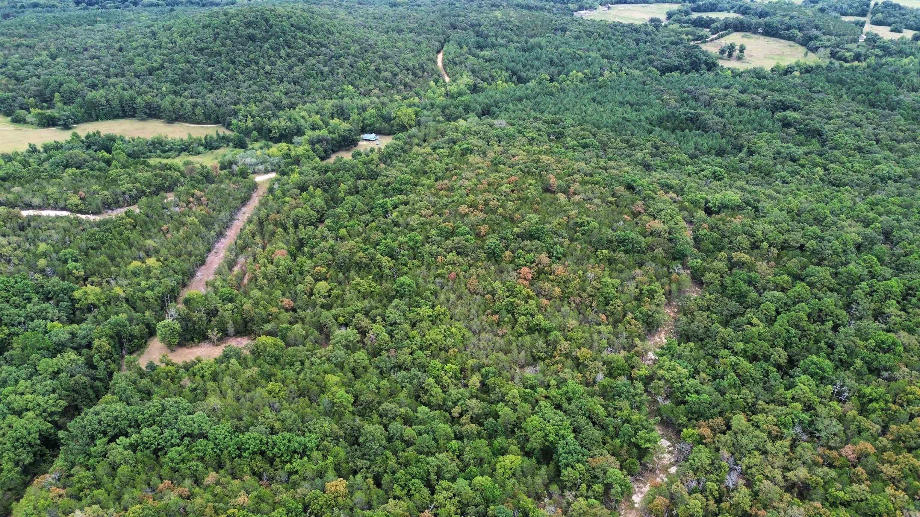 Photo 44 - Residential for sale – 4217  Mill Creek   Melbourne, AR