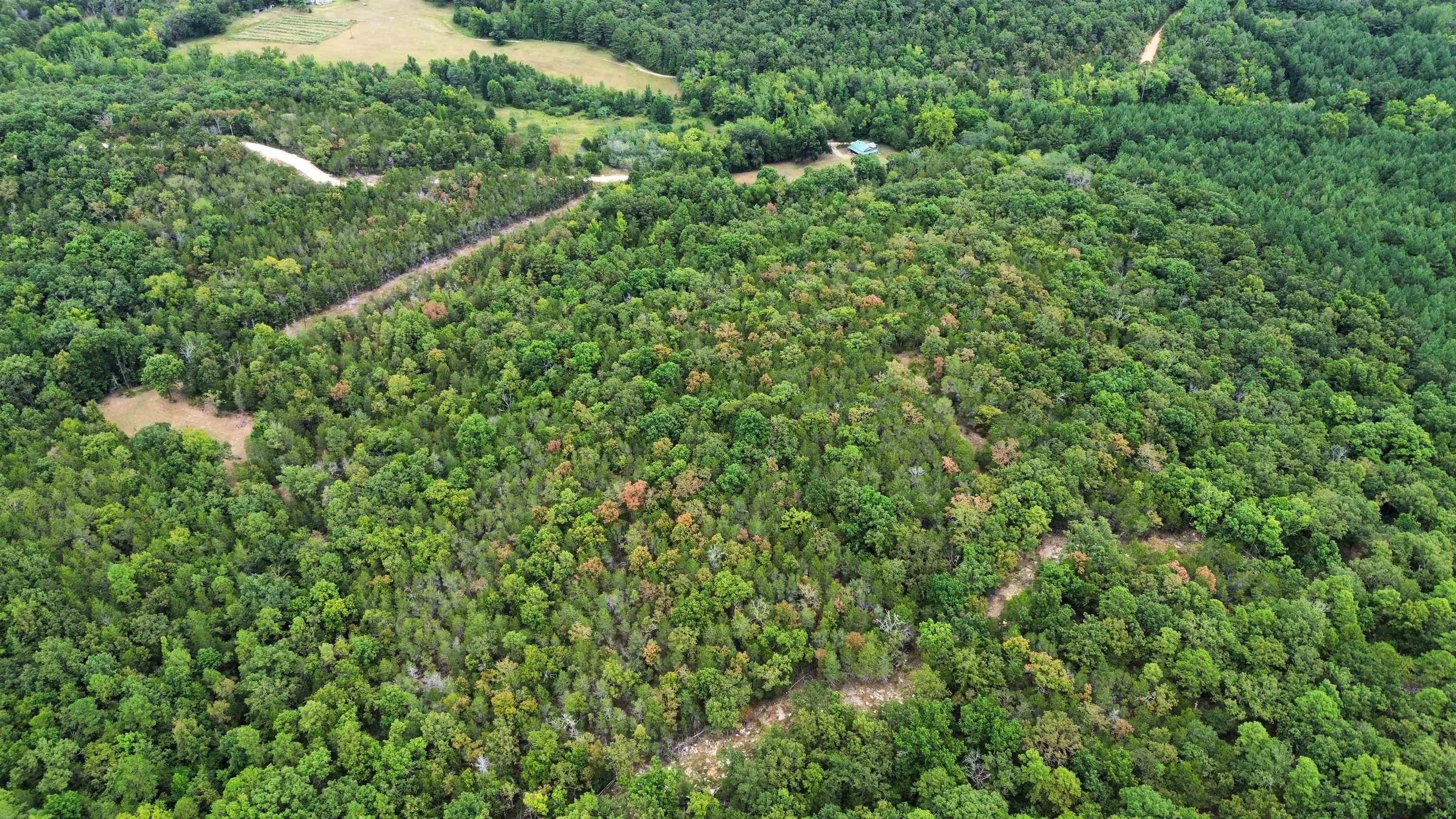 Photo 45 - Residential for sale – 4217  Mill Creek   Melbourne, AR