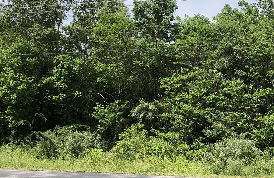 Vacant Land for sale – 0000  Pojoque   Cherokee Village, AR