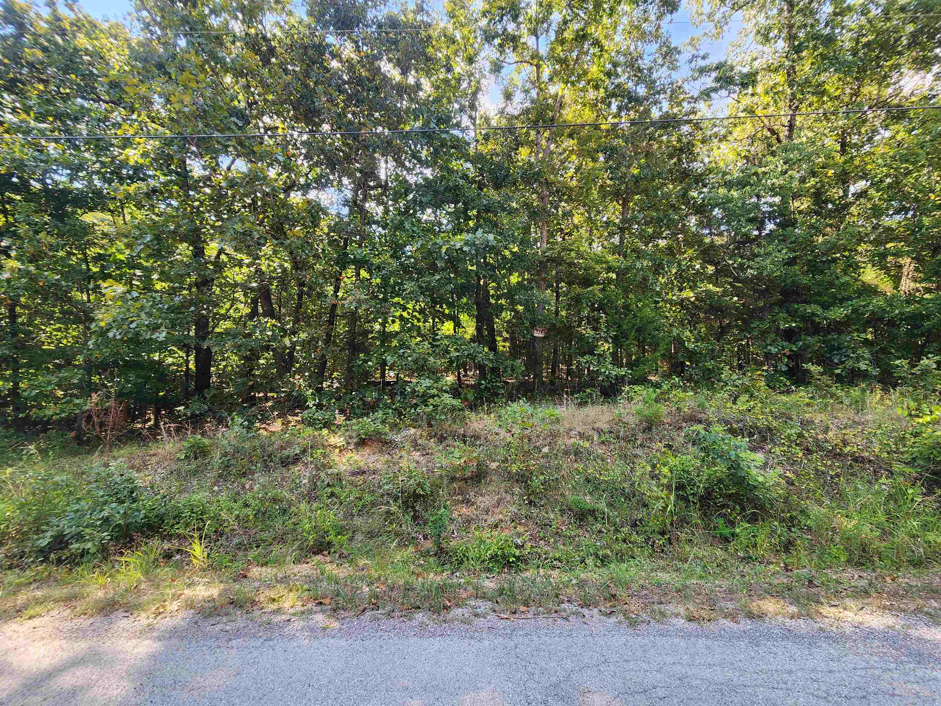 Vacant Land for sale – L-41, B-8  Winnebago   Cherokee Village, AR