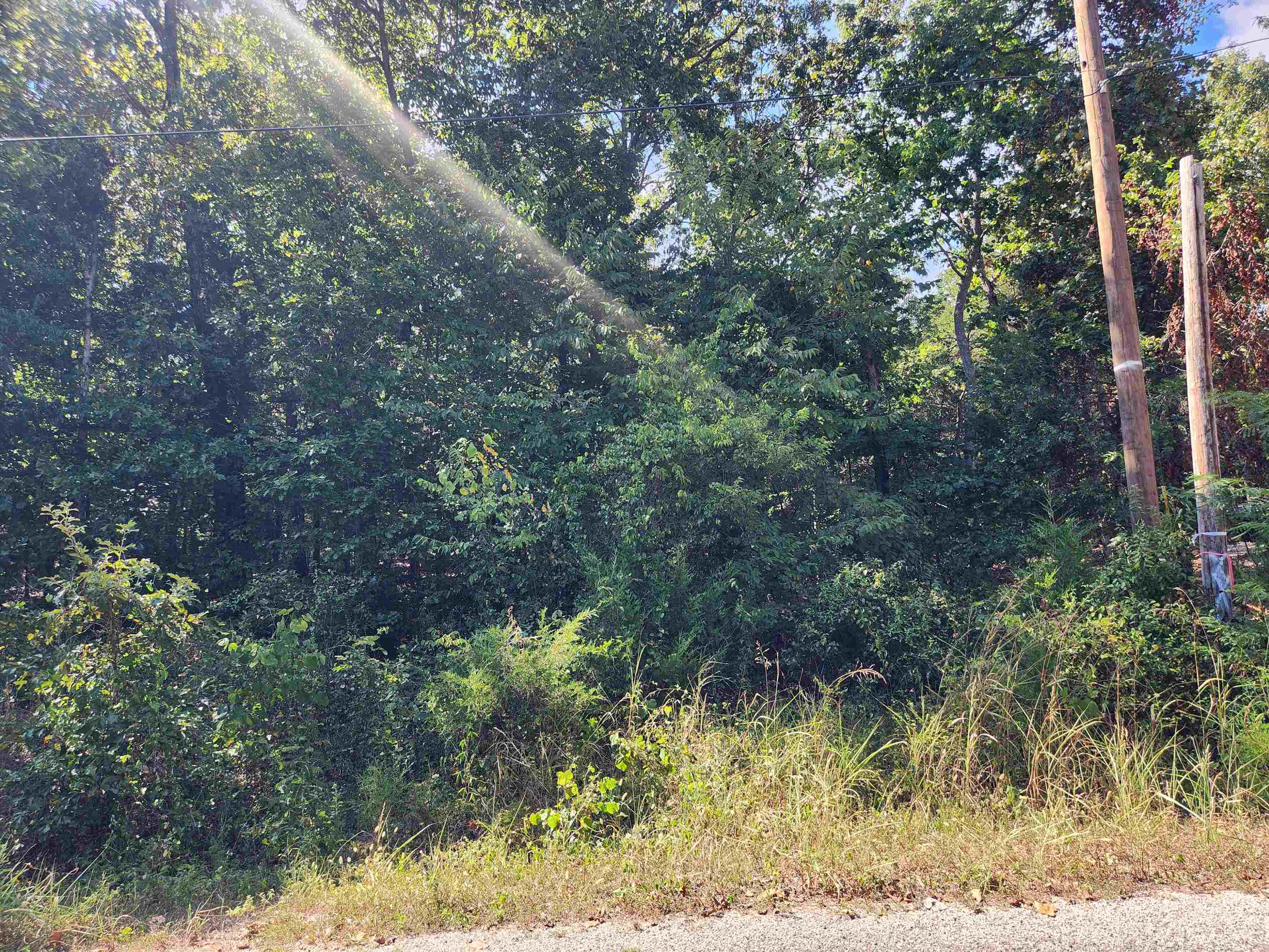 Photo 2 - Vacant Land for sale – L-41, B-8  Winnebago   Cherokee Village, AR
