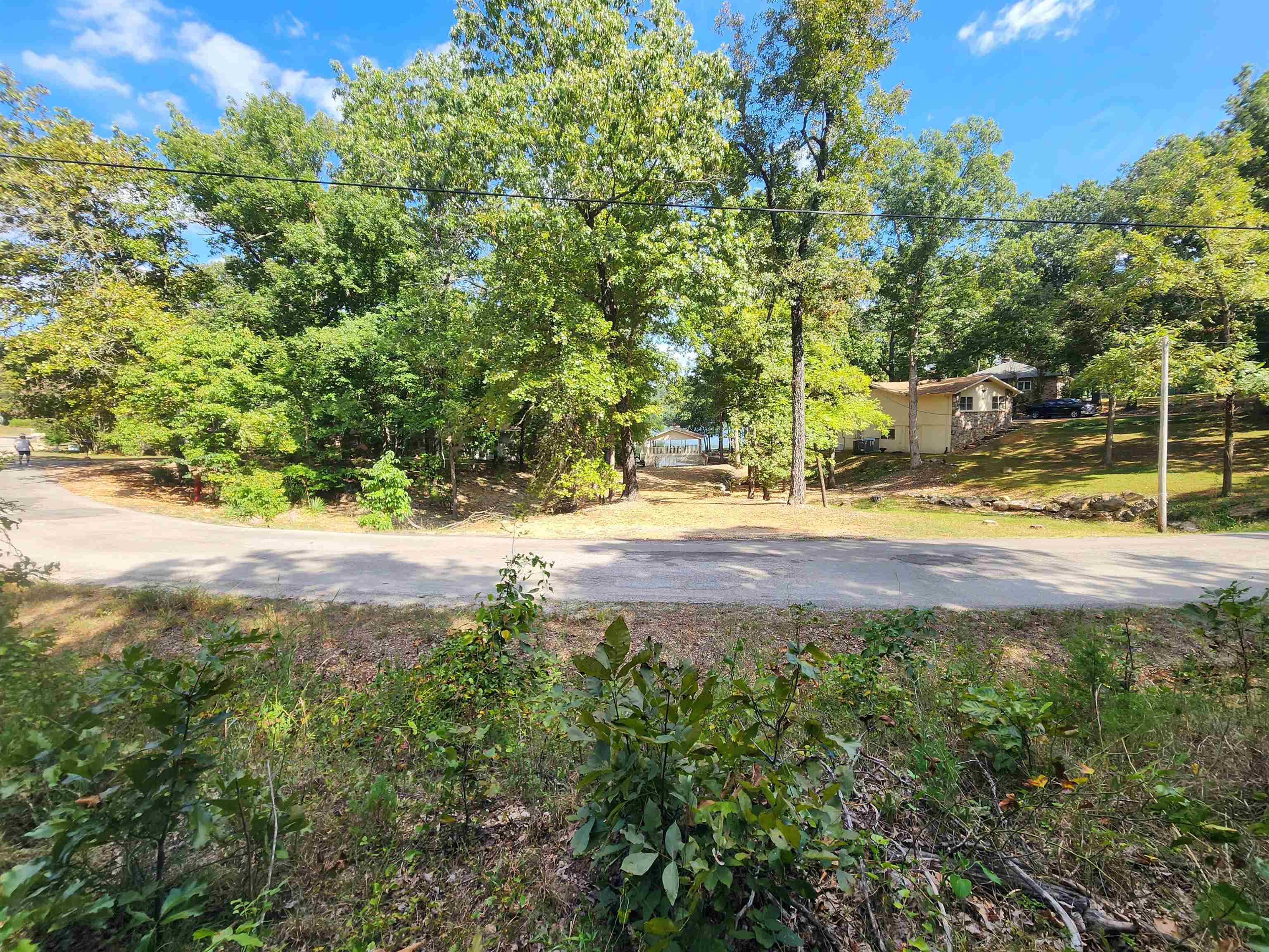 Photo 13 - Vacant Land for sale – L-41, B-8  Winnebago   Cherokee Village, AR