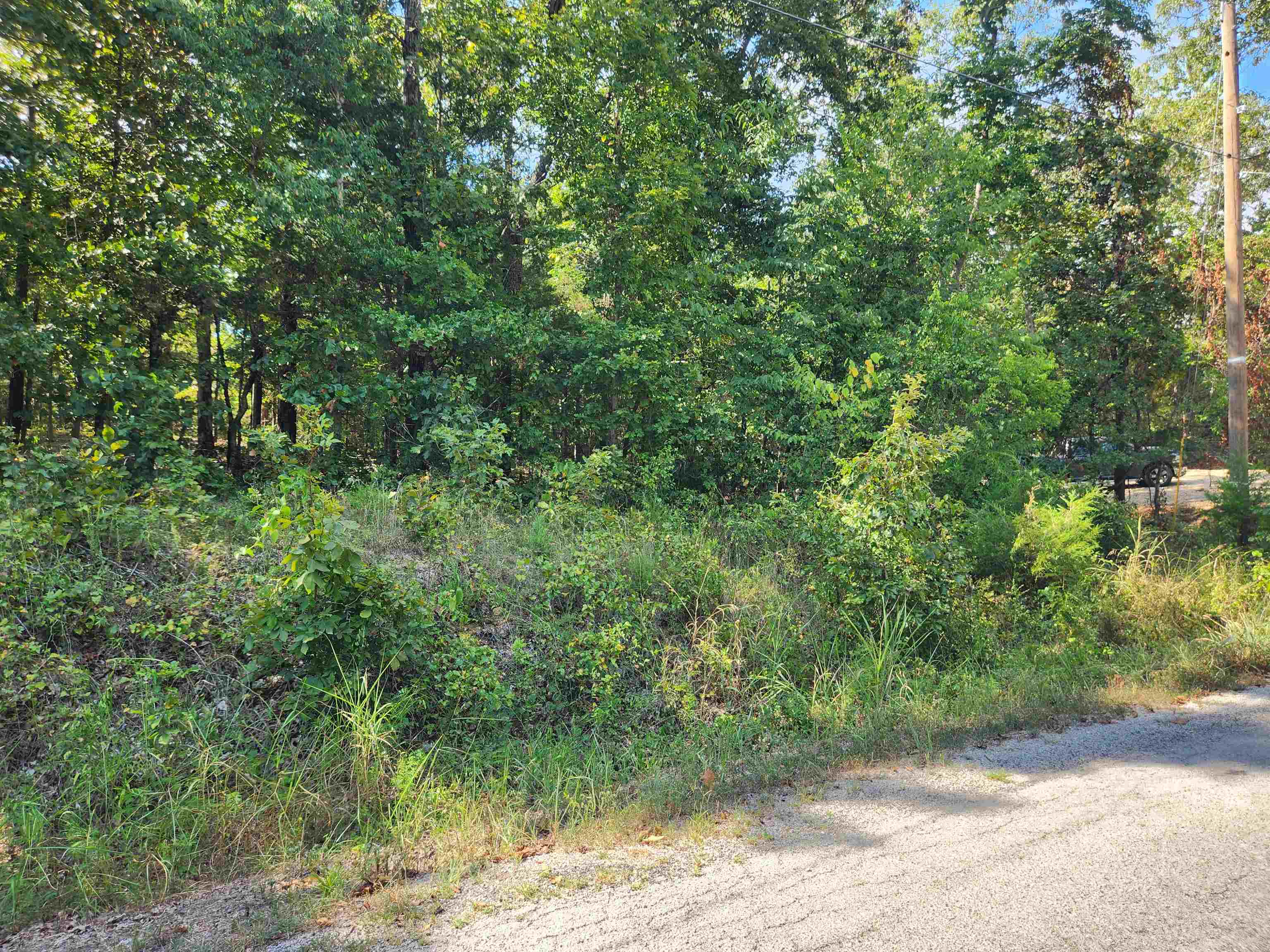 Photo 4 - Vacant Land for sale – L-41, B-8  Winnebago   Cherokee Village, AR