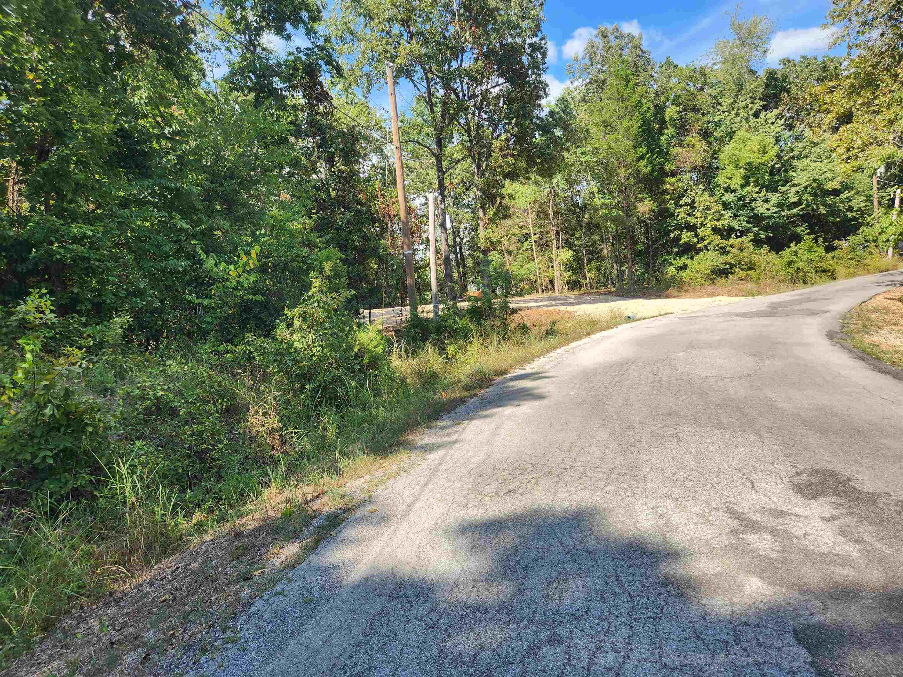 Photo 6 - Vacant Land for sale – L-41, B-8  Winnebago   Cherokee Village, AR