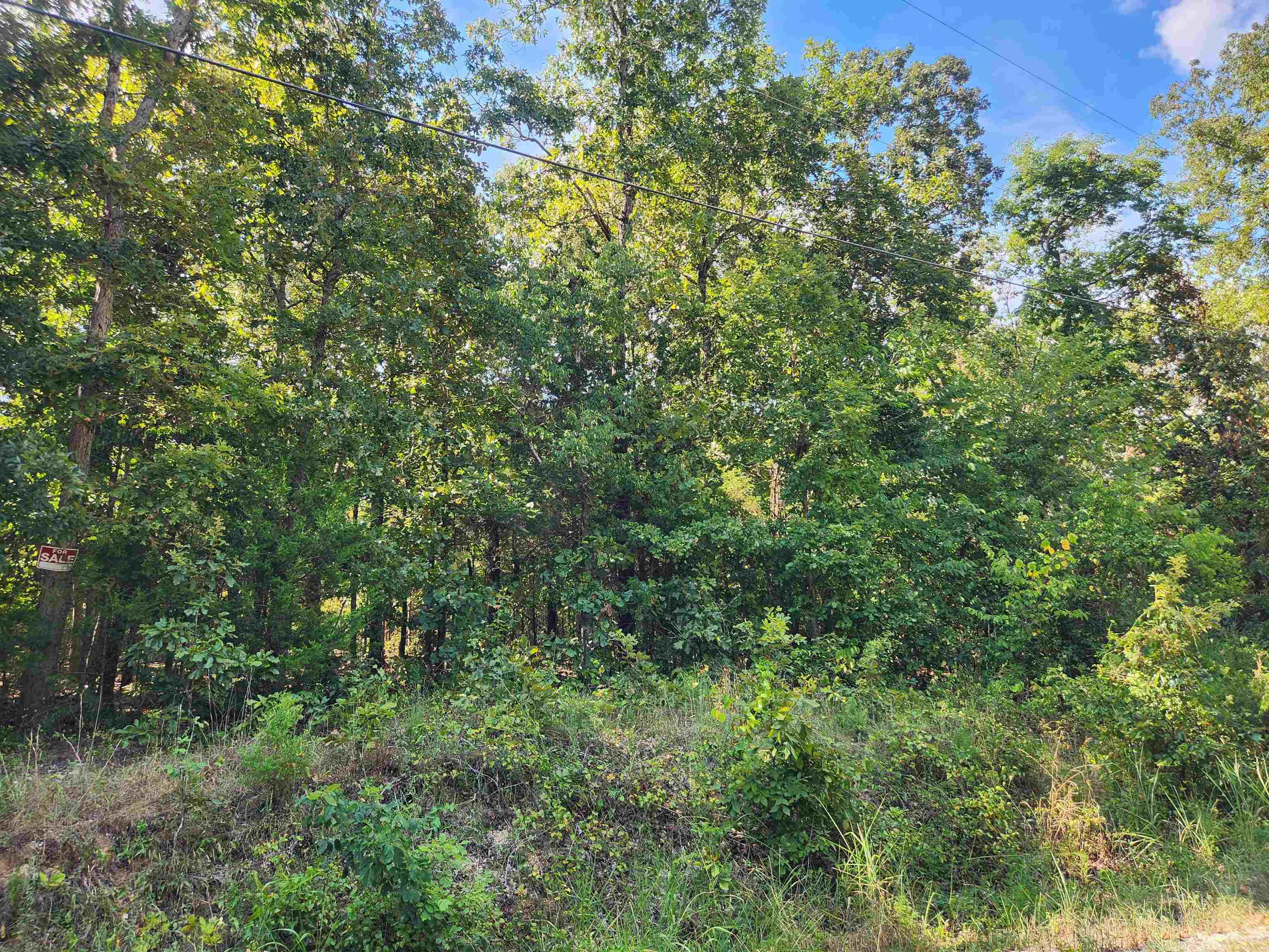 Photo 7 - Vacant Land for sale – L-41, B-8  Winnebago   Cherokee Village, AR