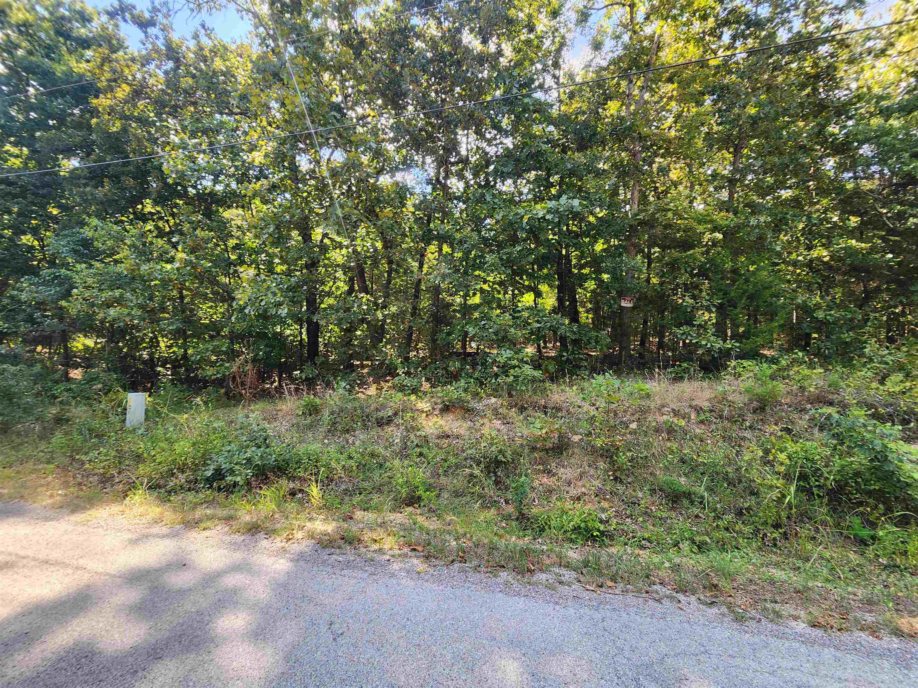 Photo 9 - Vacant Land for sale – L-41, B-8  Winnebago   Cherokee Village, AR