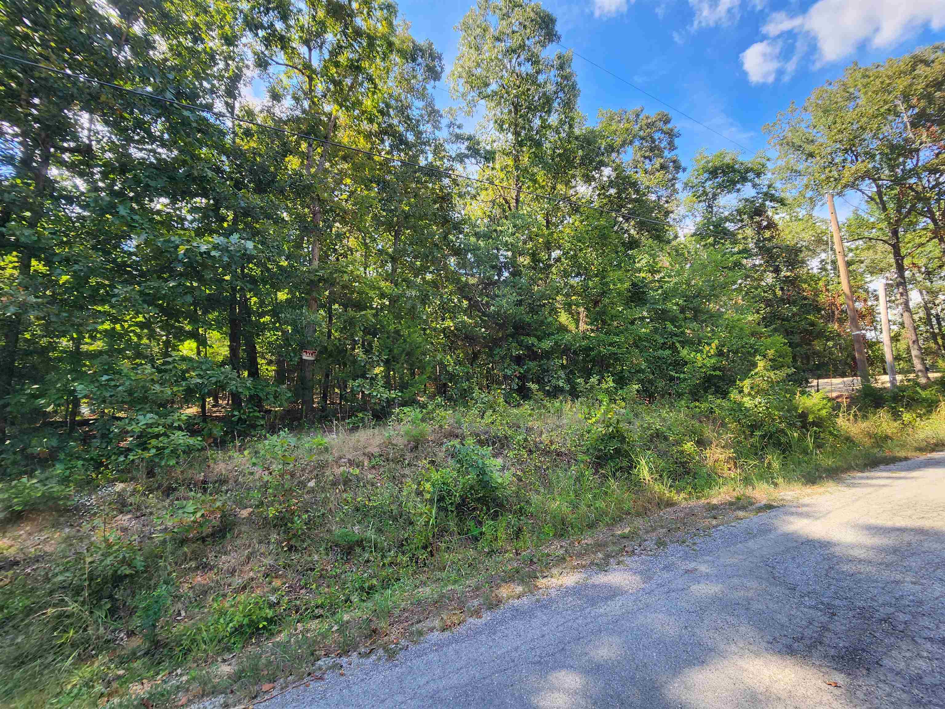 Photo 10 - Vacant Land for sale – L-41, B-8  Winnebago   Cherokee Village, AR