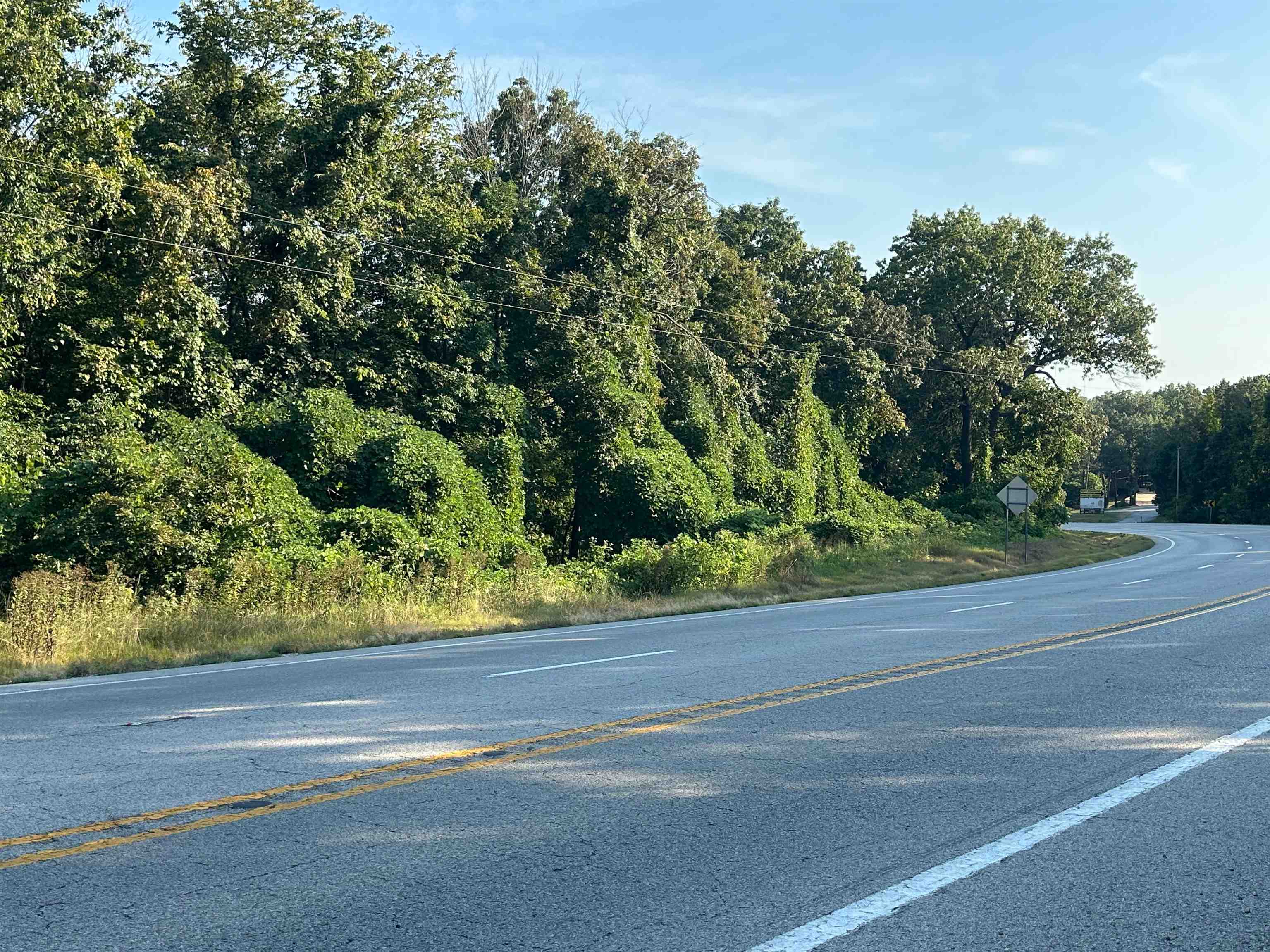 Photo 13 - Vacant Land for sale – 0  63   Hardy, AR