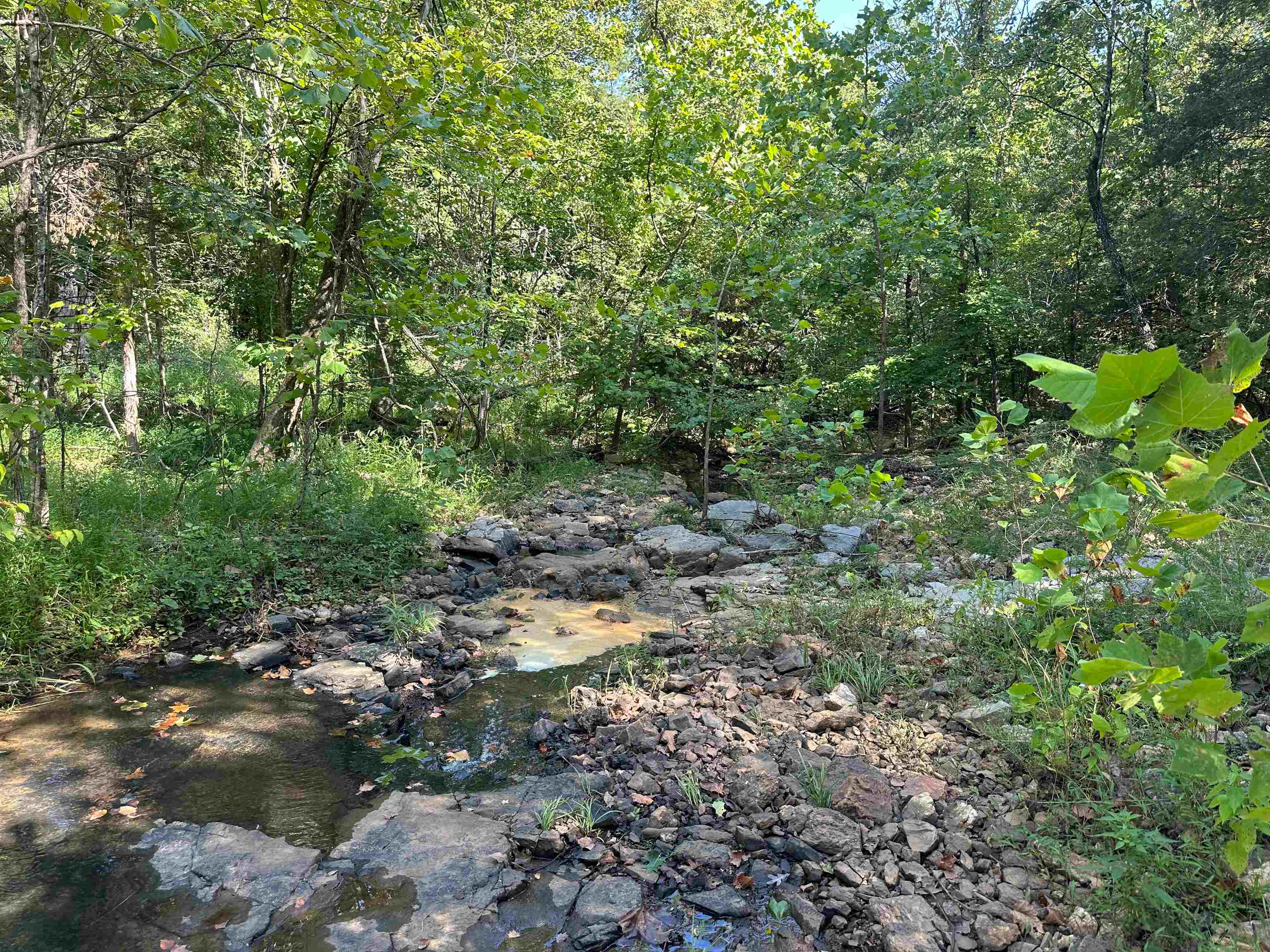 Photo 2 - Vacant Land for sale – 000  63   Hardy, AR