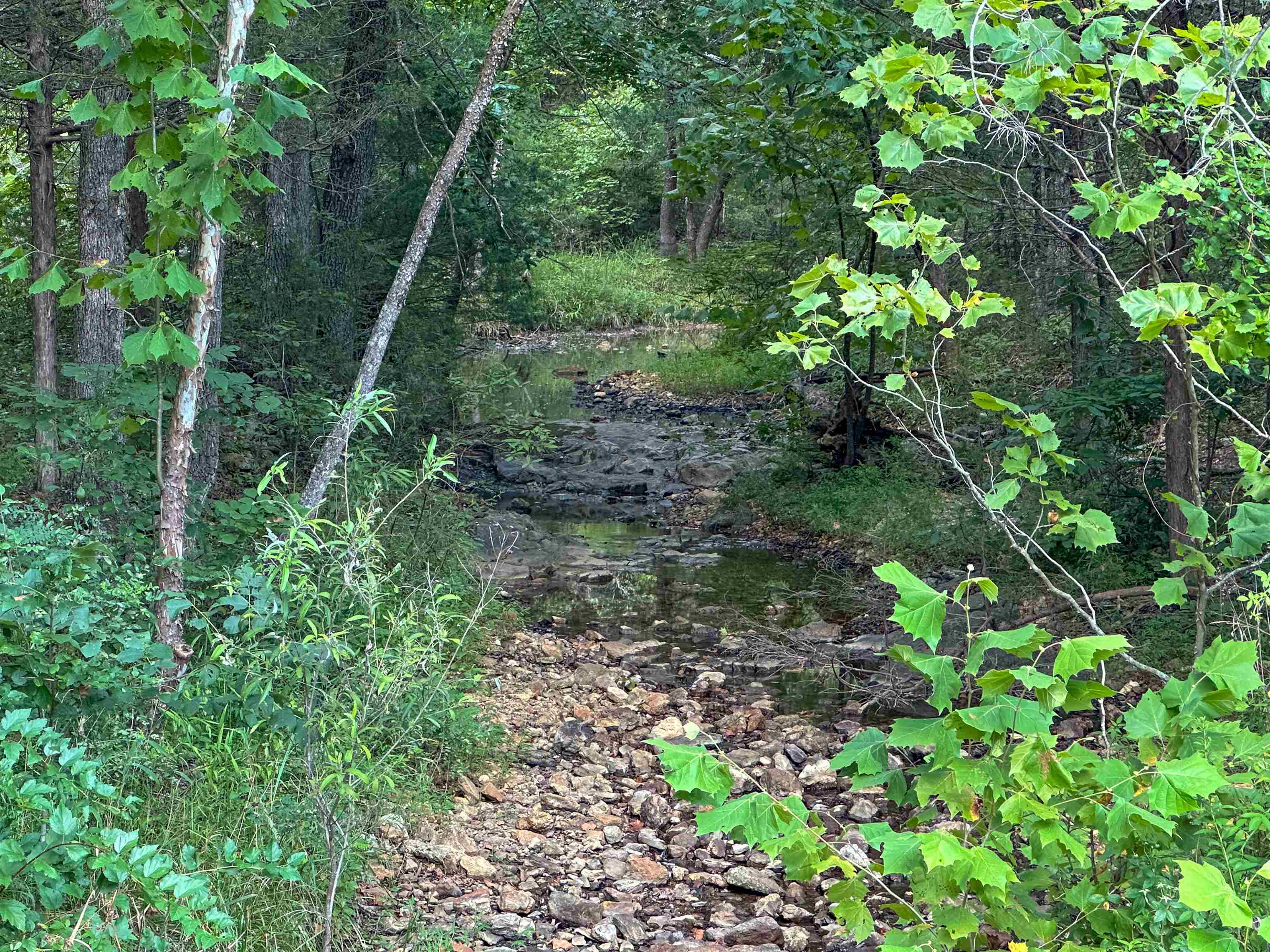 Photo 4 - Vacant Land for sale – 000  63   Hardy, AR