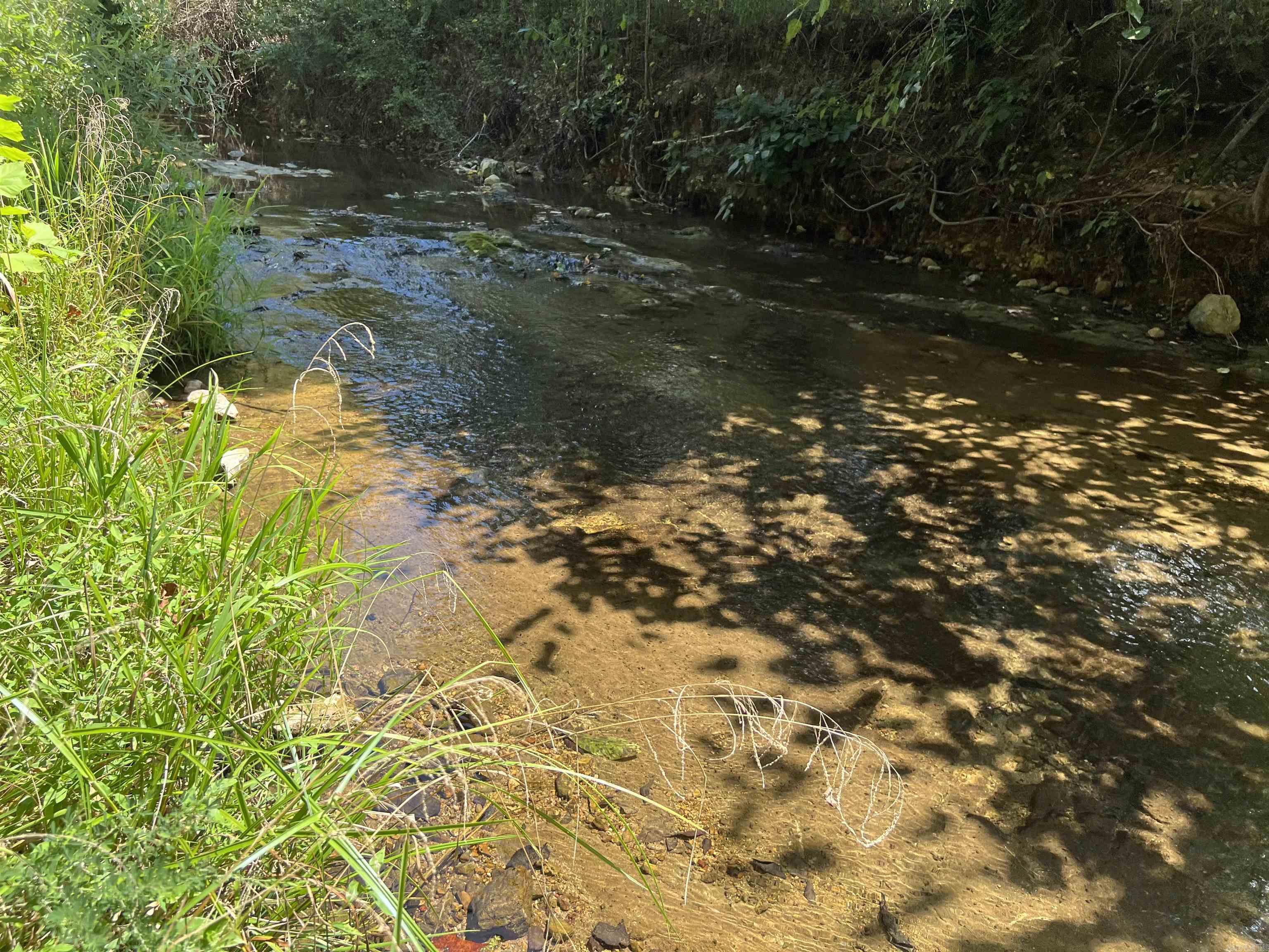 Photo 4 - Vacant Land for sale – 000  Private Road off My Lane   Mammoth Spring, AR