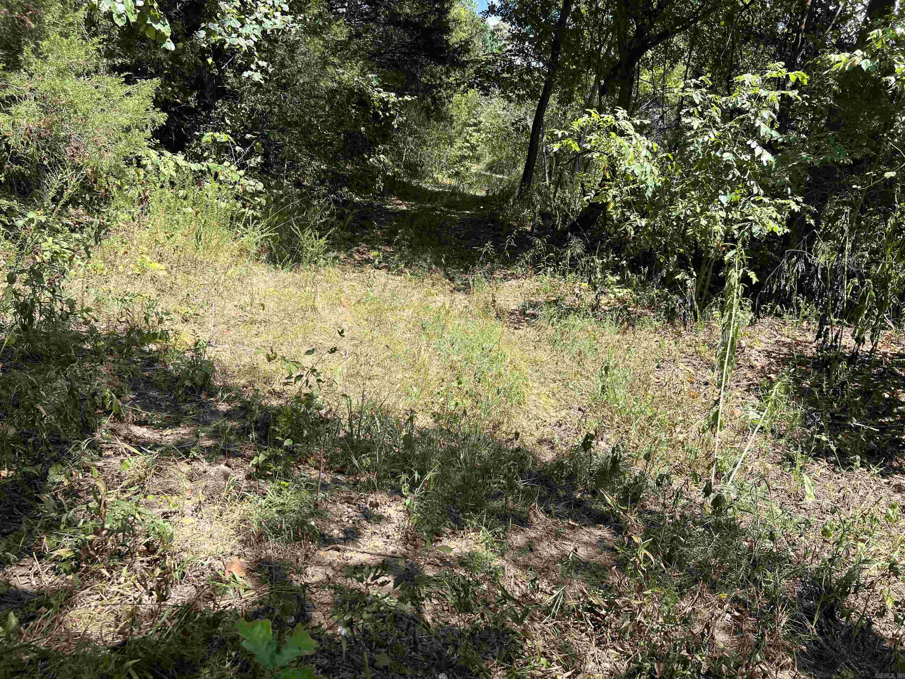 Photo 5 - Vacant Land for sale – 000  Private Road off My Lane   Mammoth Spring, AR