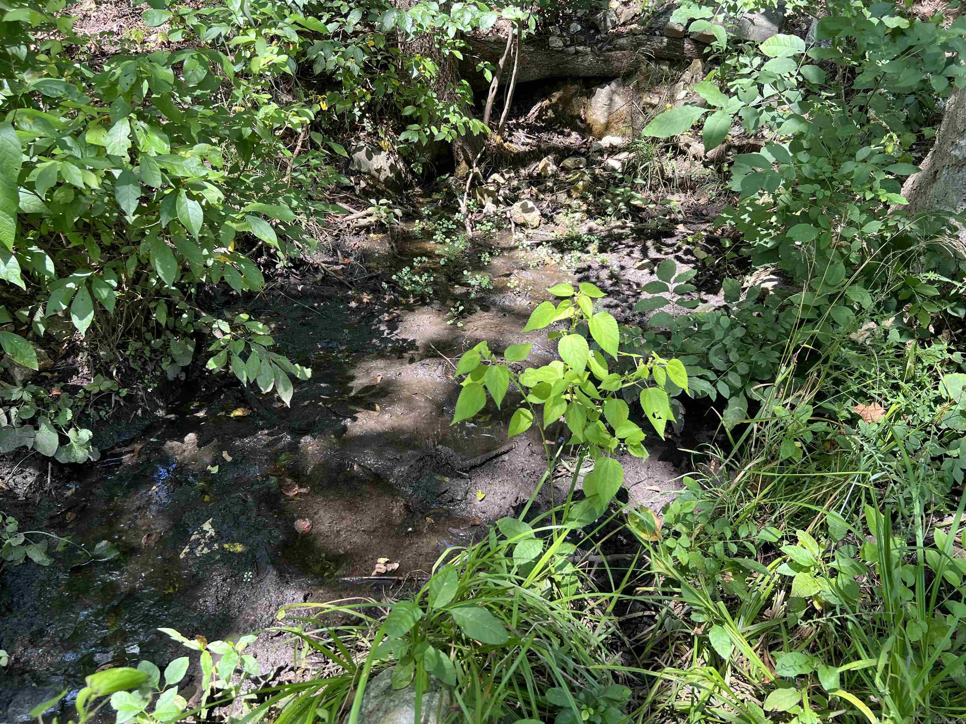Photo 6 - Vacant Land for sale – 000  Private Road off My Lane   Mammoth Spring, AR