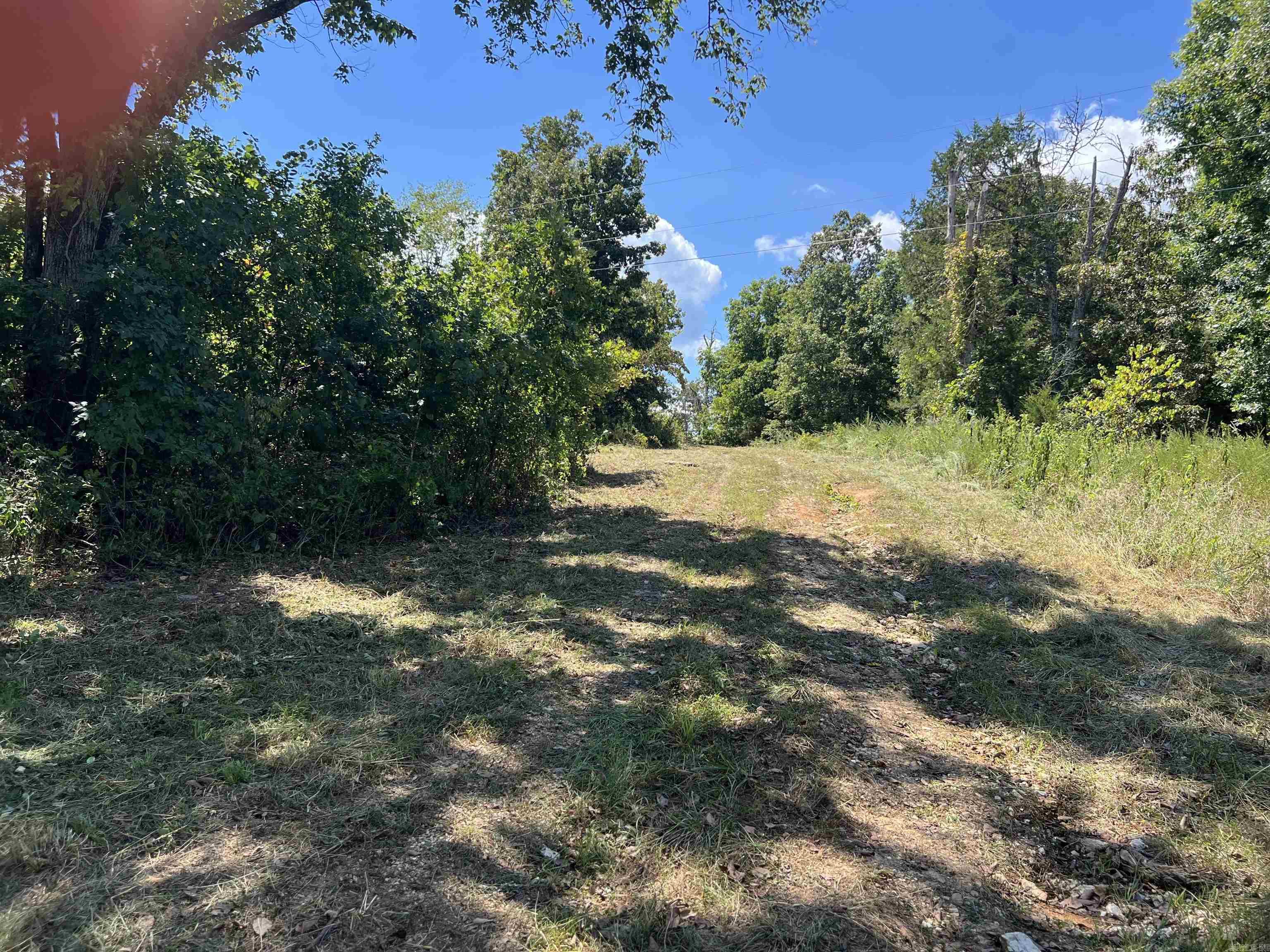 Photo 7 - Vacant Land for sale – 000  Private Road off My Lane   Mammoth Spring, AR