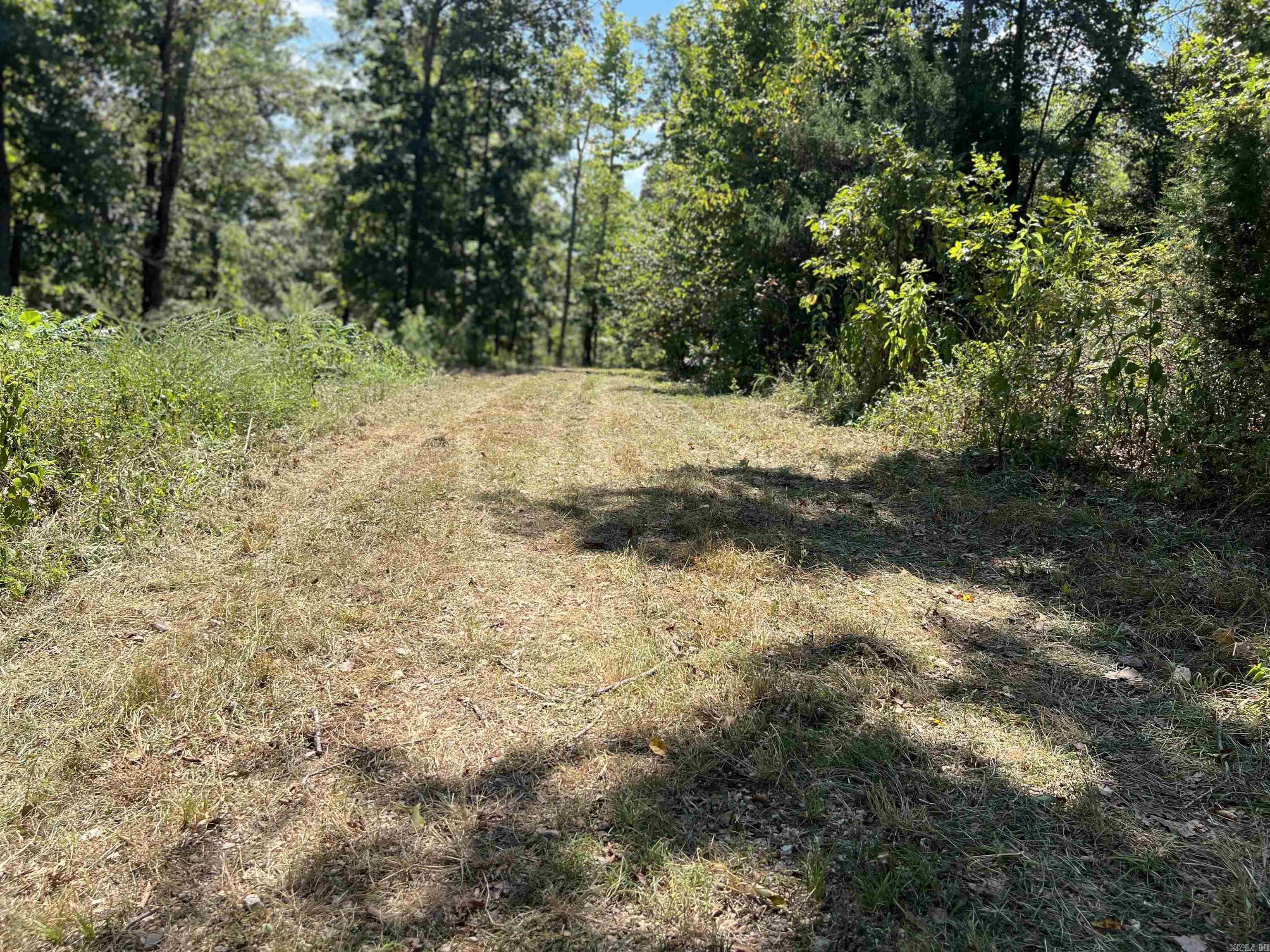 Photo 8 - Vacant Land for sale – 000  Private Road off My Lane   Mammoth Spring, AR