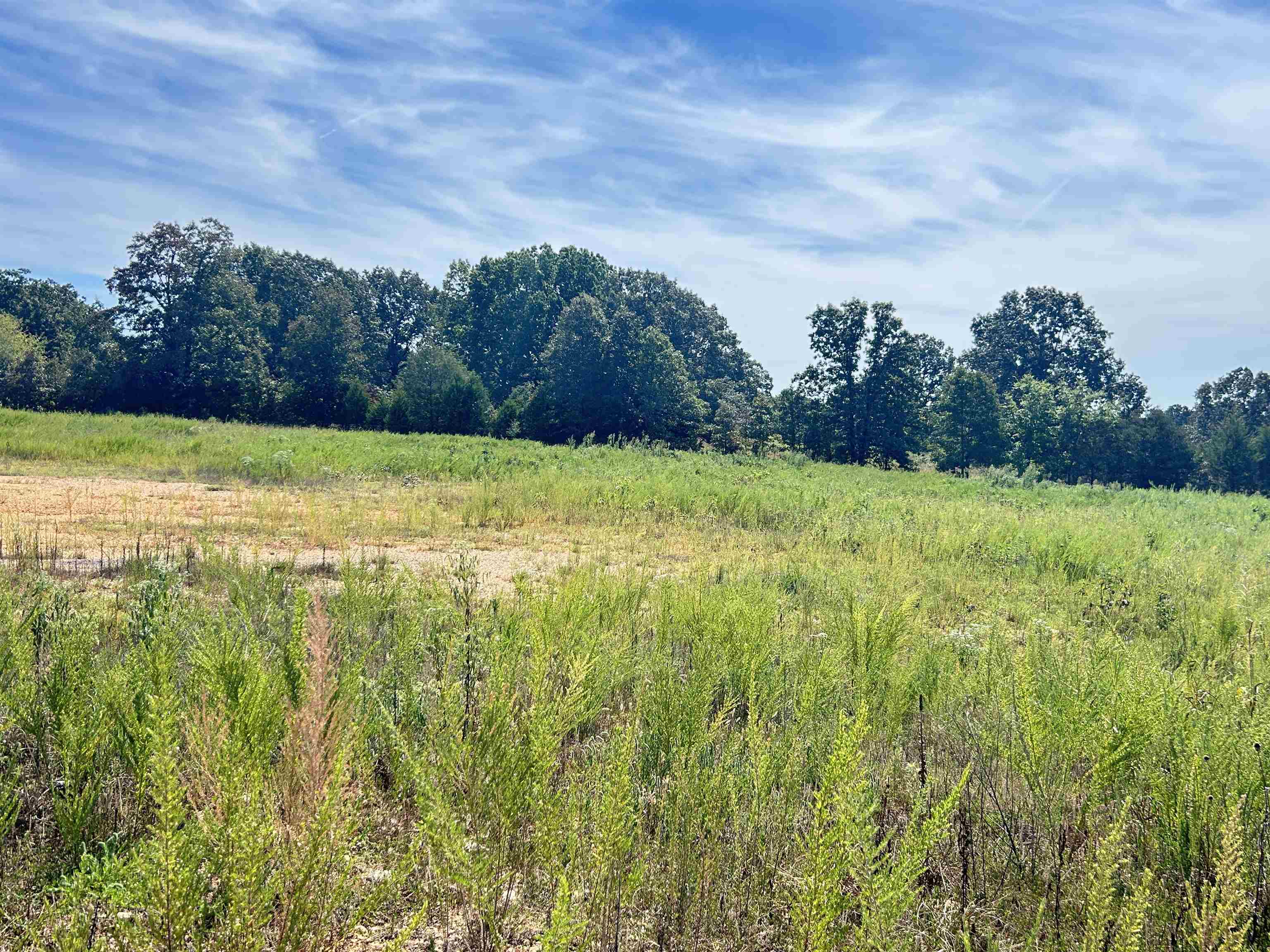 Photo 5 - Vacant Land for sale – 2530B  US 62-412   Highland, AR