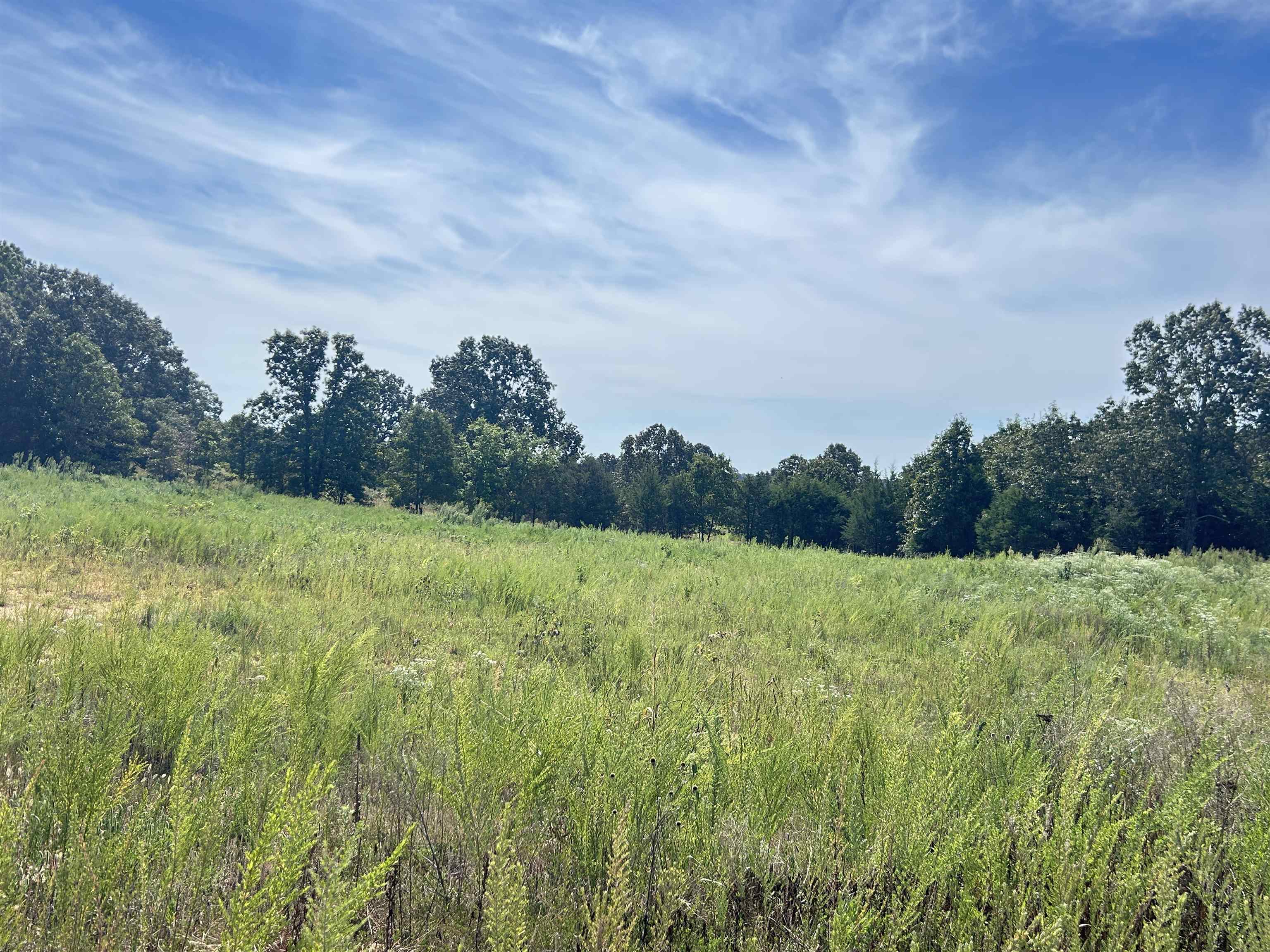 Photo 6 - Vacant Land for sale – 2530B  US 62-412   Highland, AR