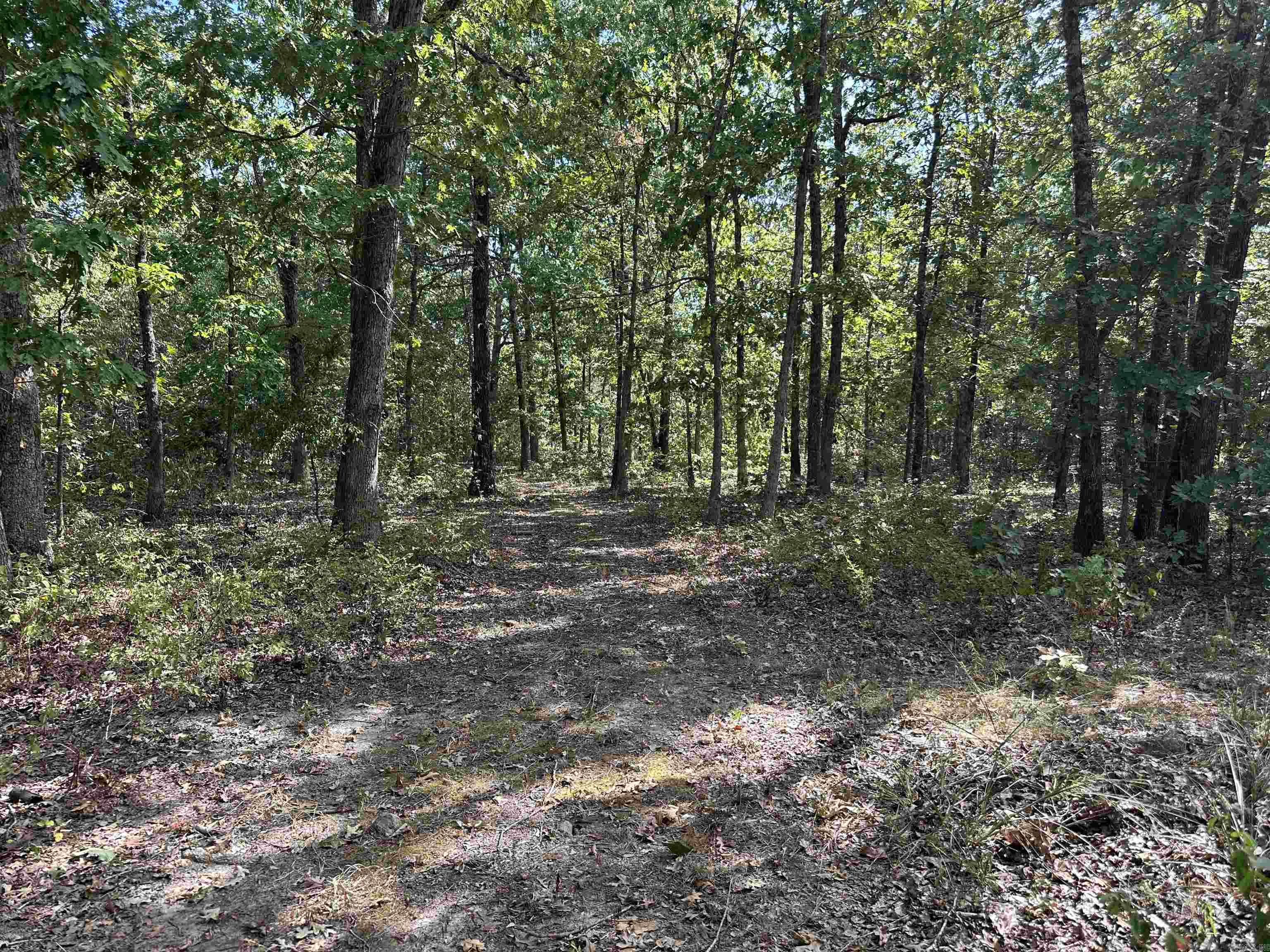 Photo 45 - Residential for sale – 2215  AR Hwy 175   Mammoth Spring, AR